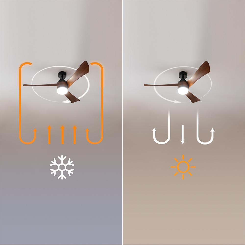 Ventilador de techo con diagramas de modo invierno y verano.