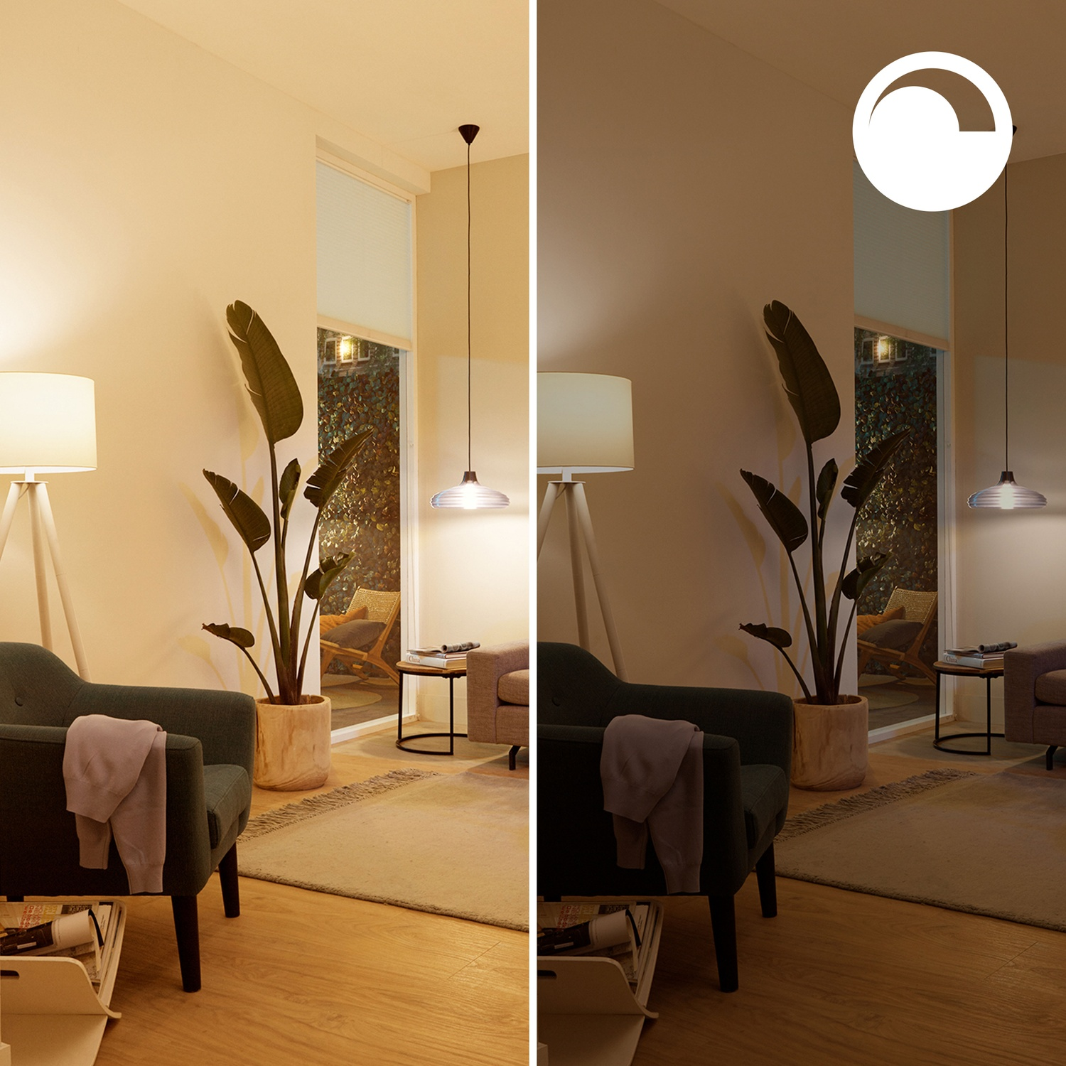 Un salon divisé, montrant des scènes de jour et de nuit avec fauteuil et plante.
