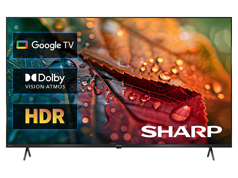 Telewizor LED SHARP 55HL4465E 55" 4K Google TV Dolby Vision Czarny