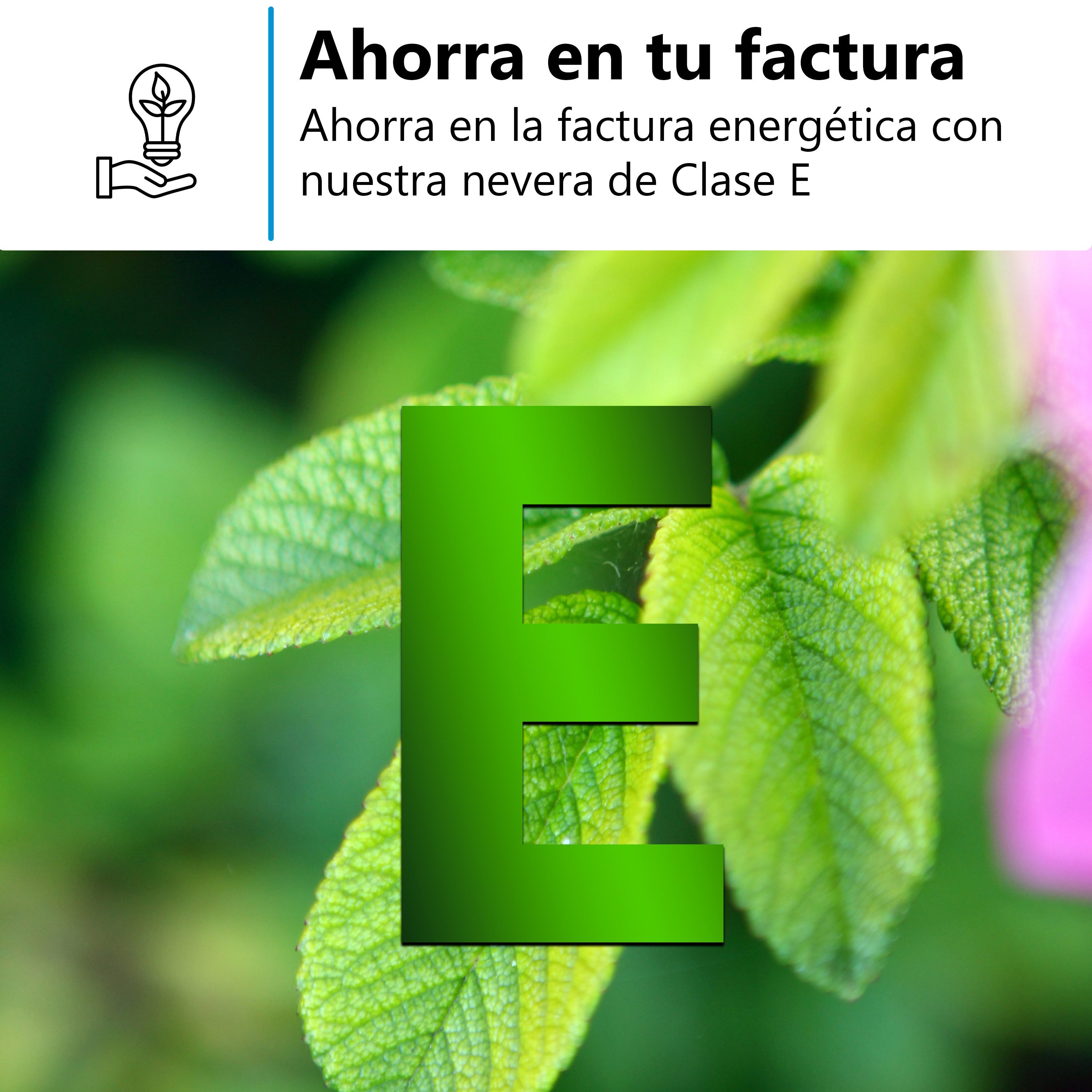 Una hoja verde y la letra E. Texto sobre ahorro energético.