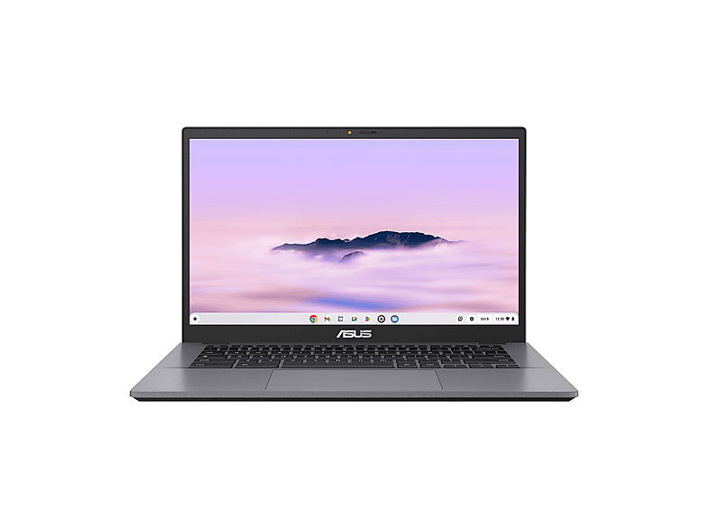 ASUS Chromebook CX3402 NOTEBOOK, 14 ", processore Intel® Core 3 100U , Intel®, RAM 8 GB, 128 GB Flash, Grey, Google Chrome OS