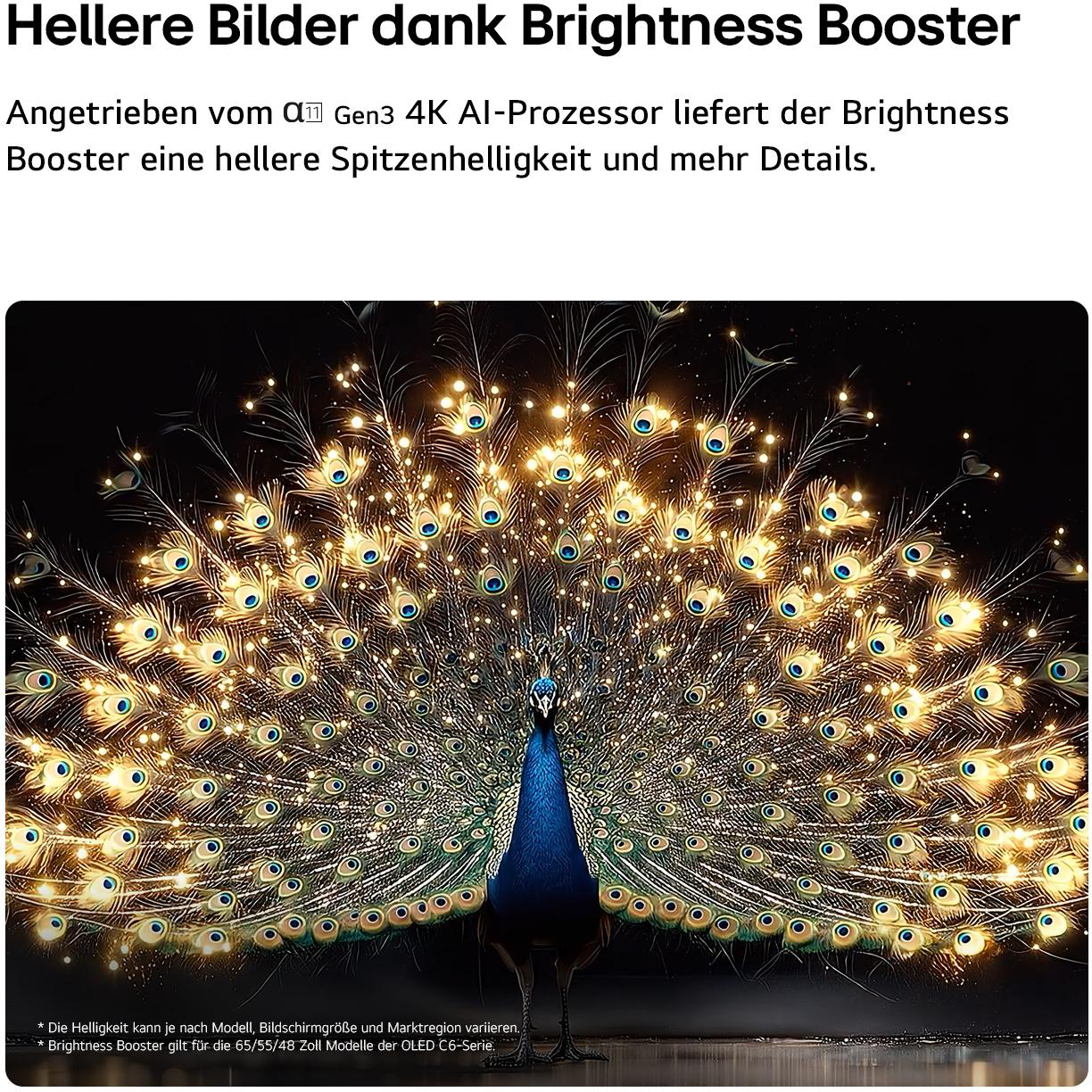 Ein Pfau spreizt seinen leuchtenden, geschmückten Schwanz im Dunkeln.
