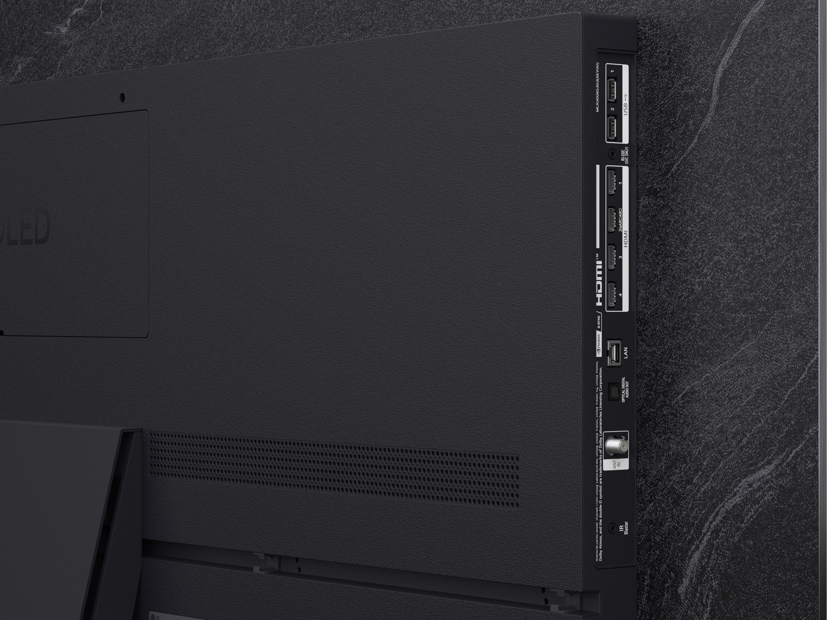 Rückseite eines Fernsehers mit Anschlüssen: USB, HDMI, LAN, optisch, Antenne.