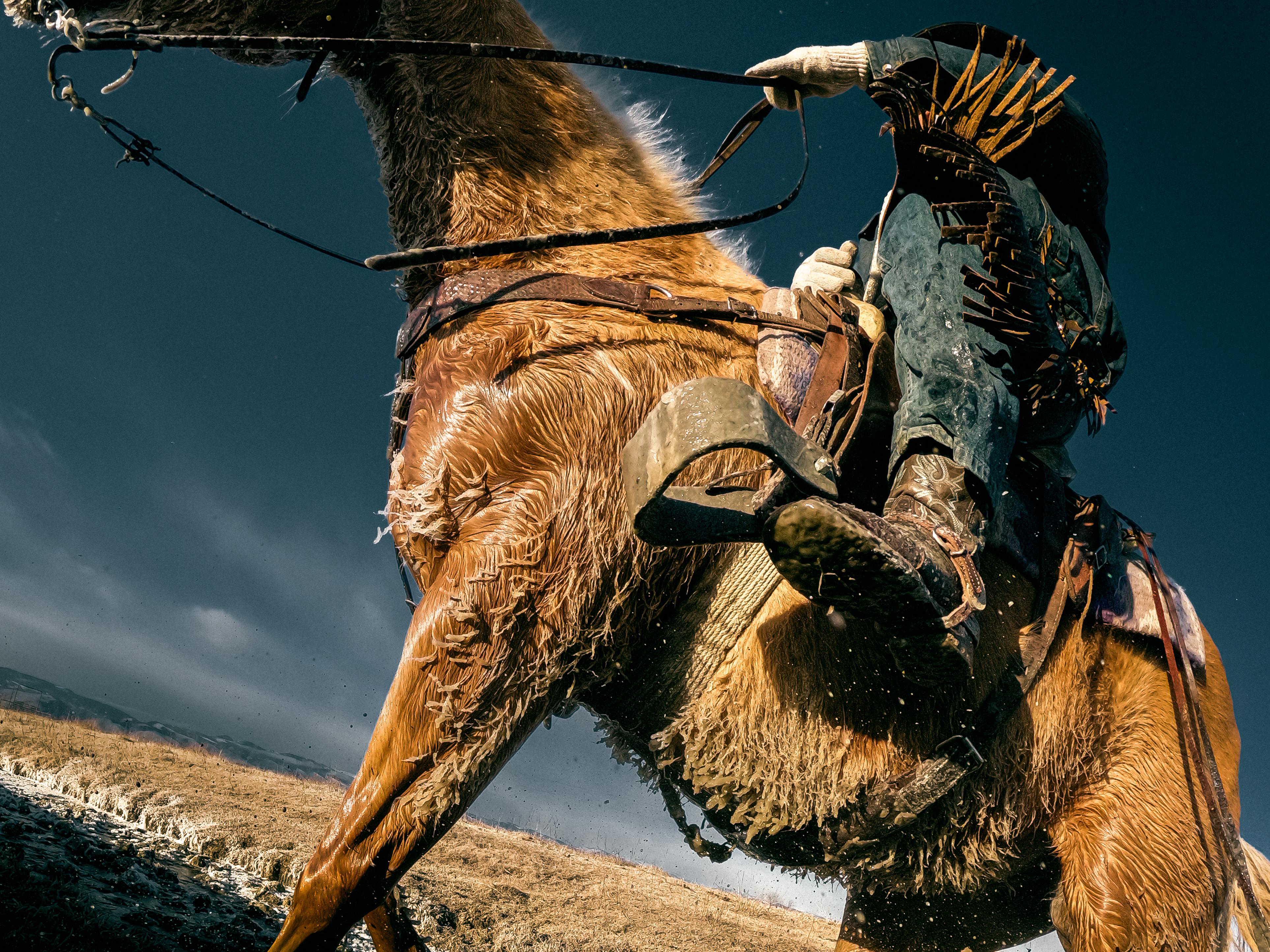 Ein Reiter auf einem braunen Pferd mit Geschirr, in winterlicher Landschaft.