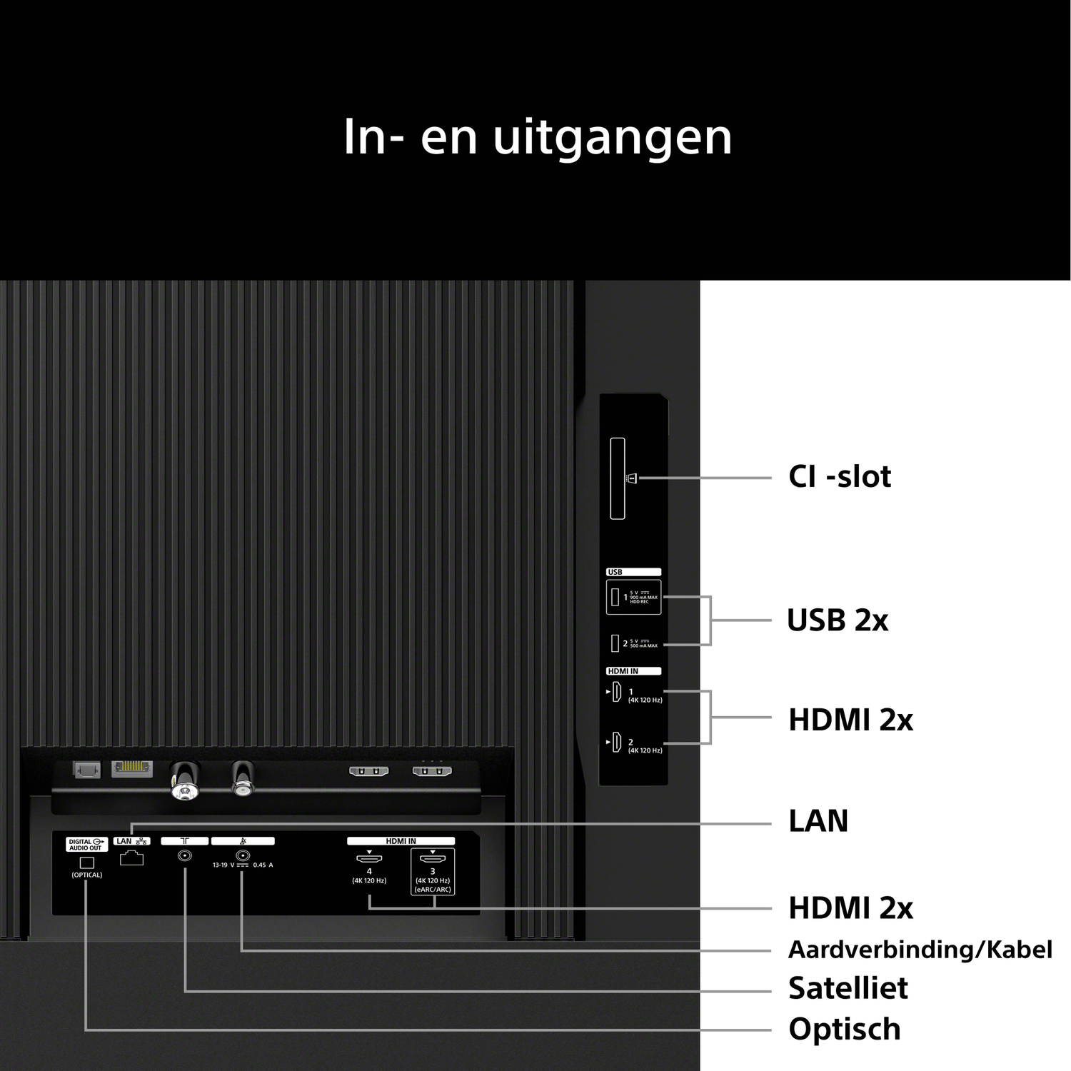 Back of a TV showing ports: USB, HDMI, LAN, CI slot, optical, satellite.