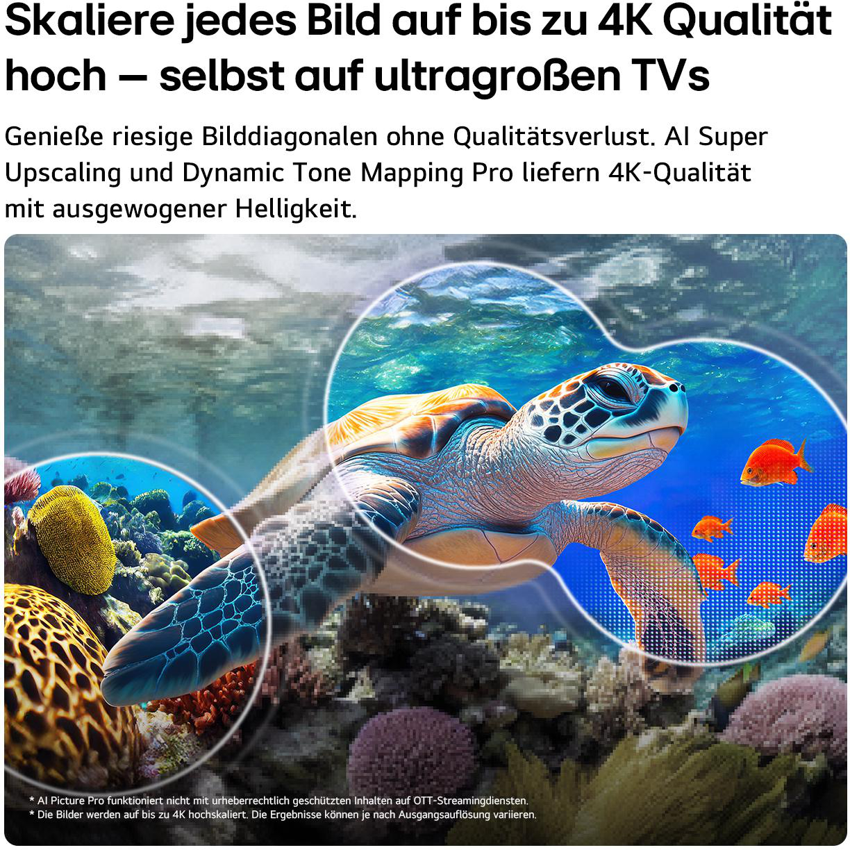 Eine Schildkröte schwimmt in einem Korallenriff mit kleinen Fischen, umgeben von Kreisen.