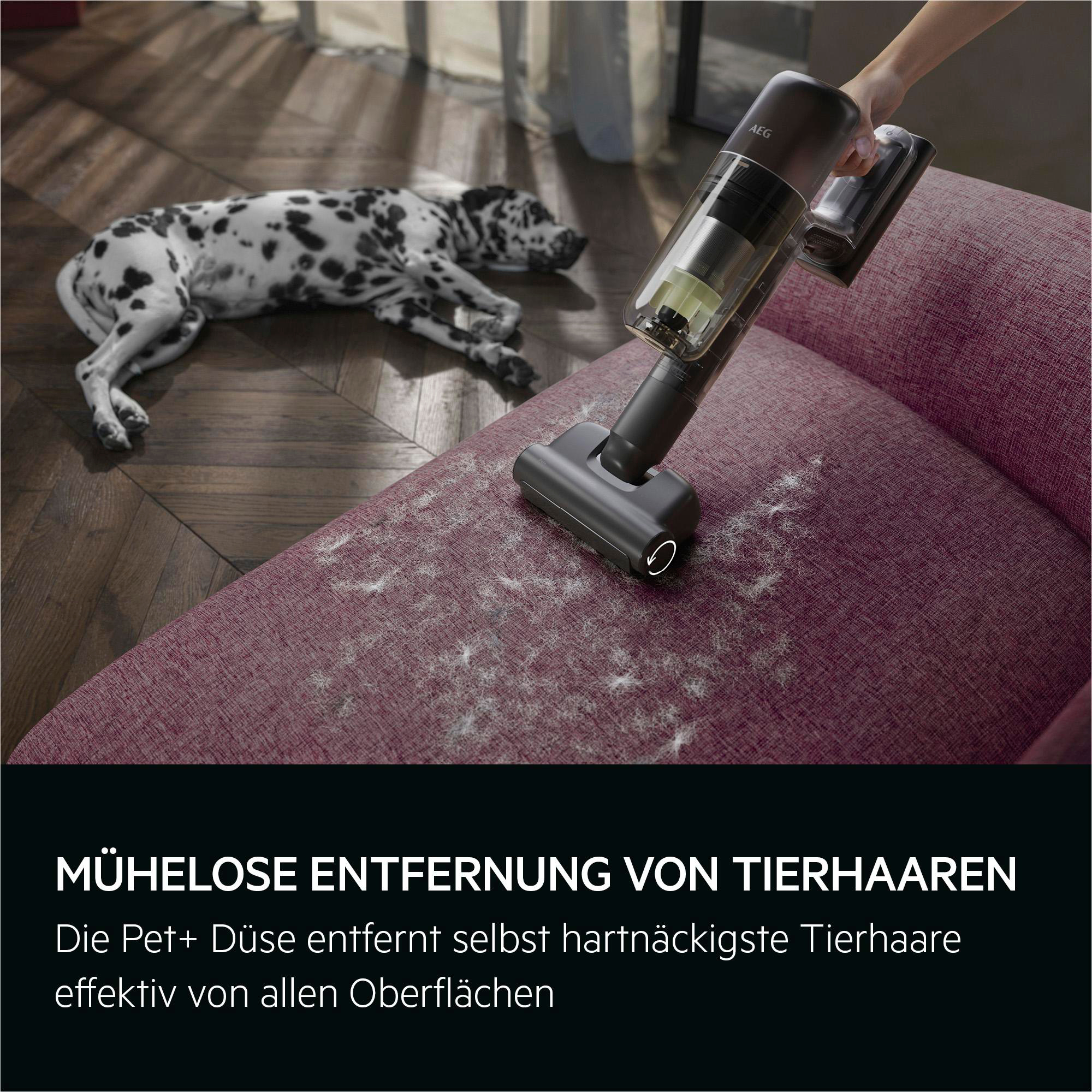 Ein Dalmatiner liegt auf einem Sofa, während ein Handstaubsauger Tierhaare aufsaugt.