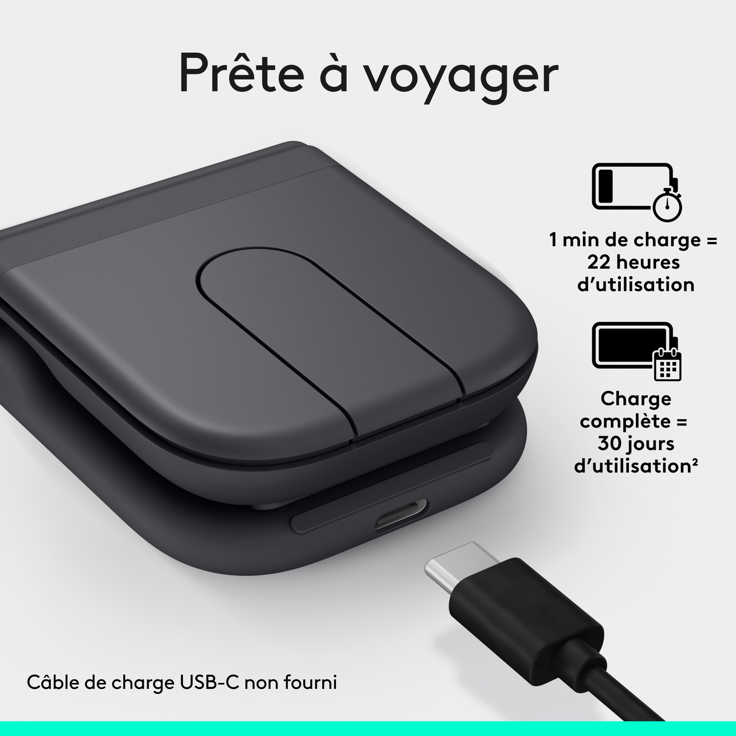 Étui de chargement gris avec câble USB-C et informations de charge.