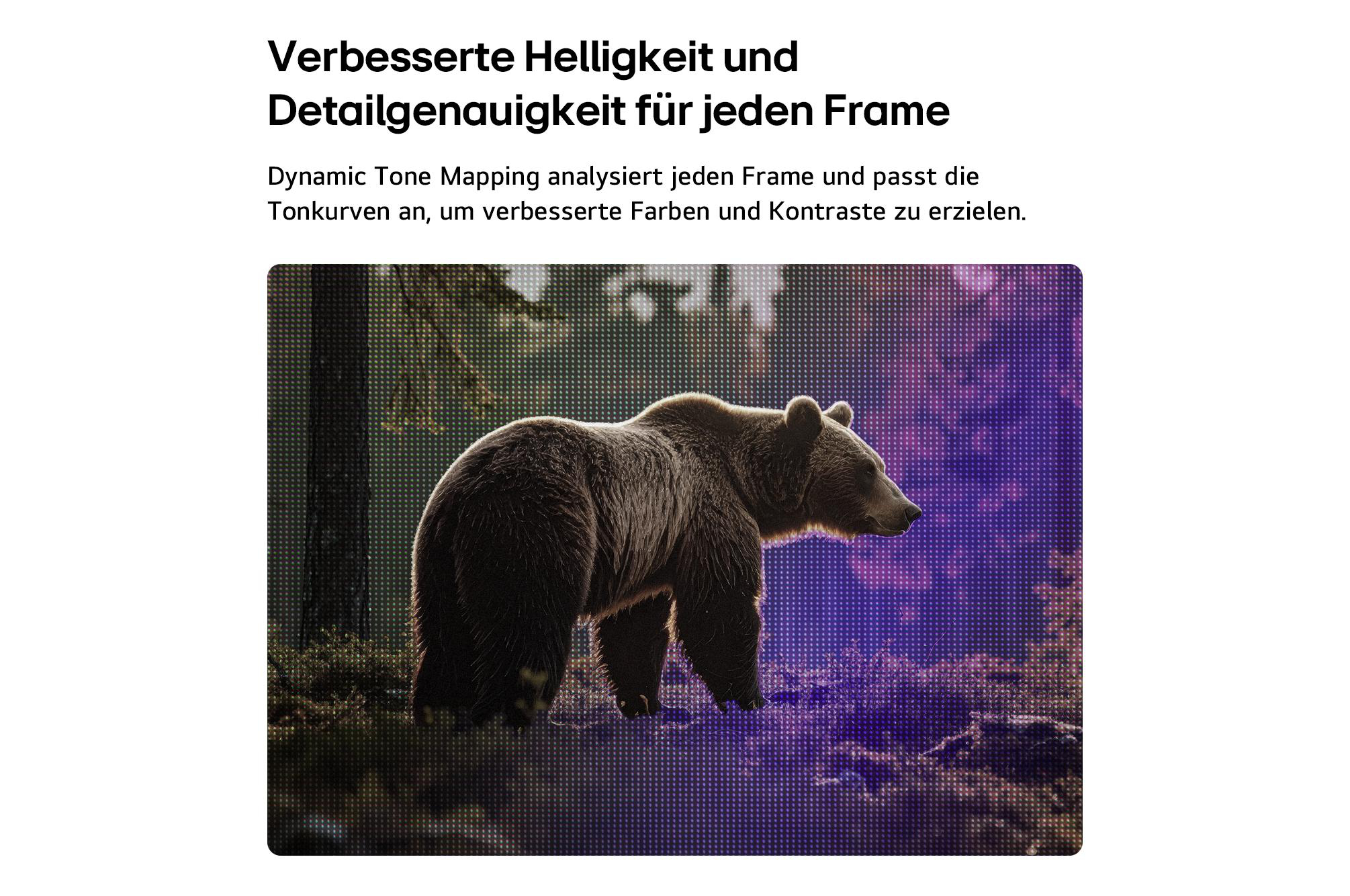 Ein Braunbär steht in einem Wald mit lila Hintergrund.