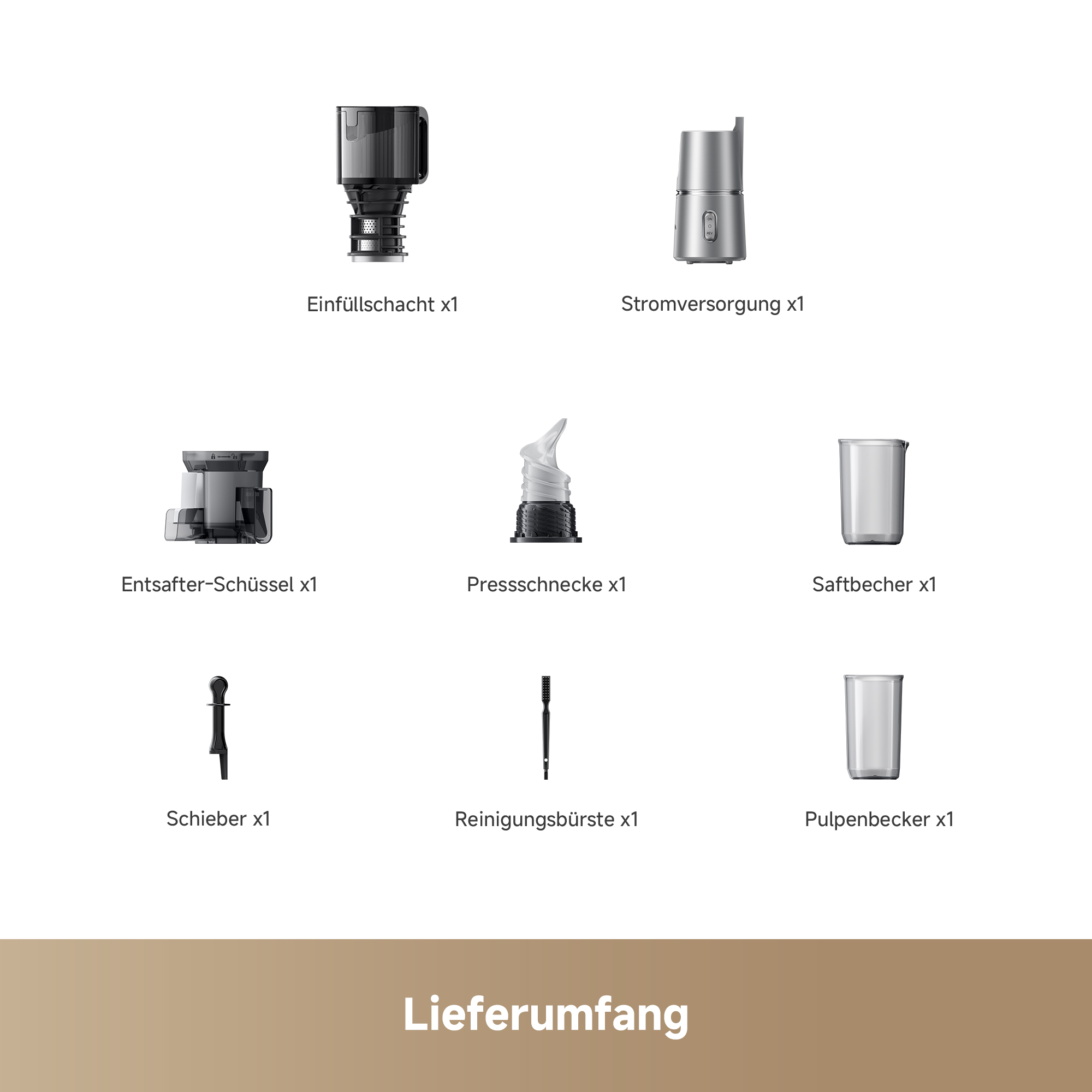 Teile eines Entsafters: Einfüllschacht, Stromversorgung, Schüssel, Schnecke, Becher, Schieber, Bürste.