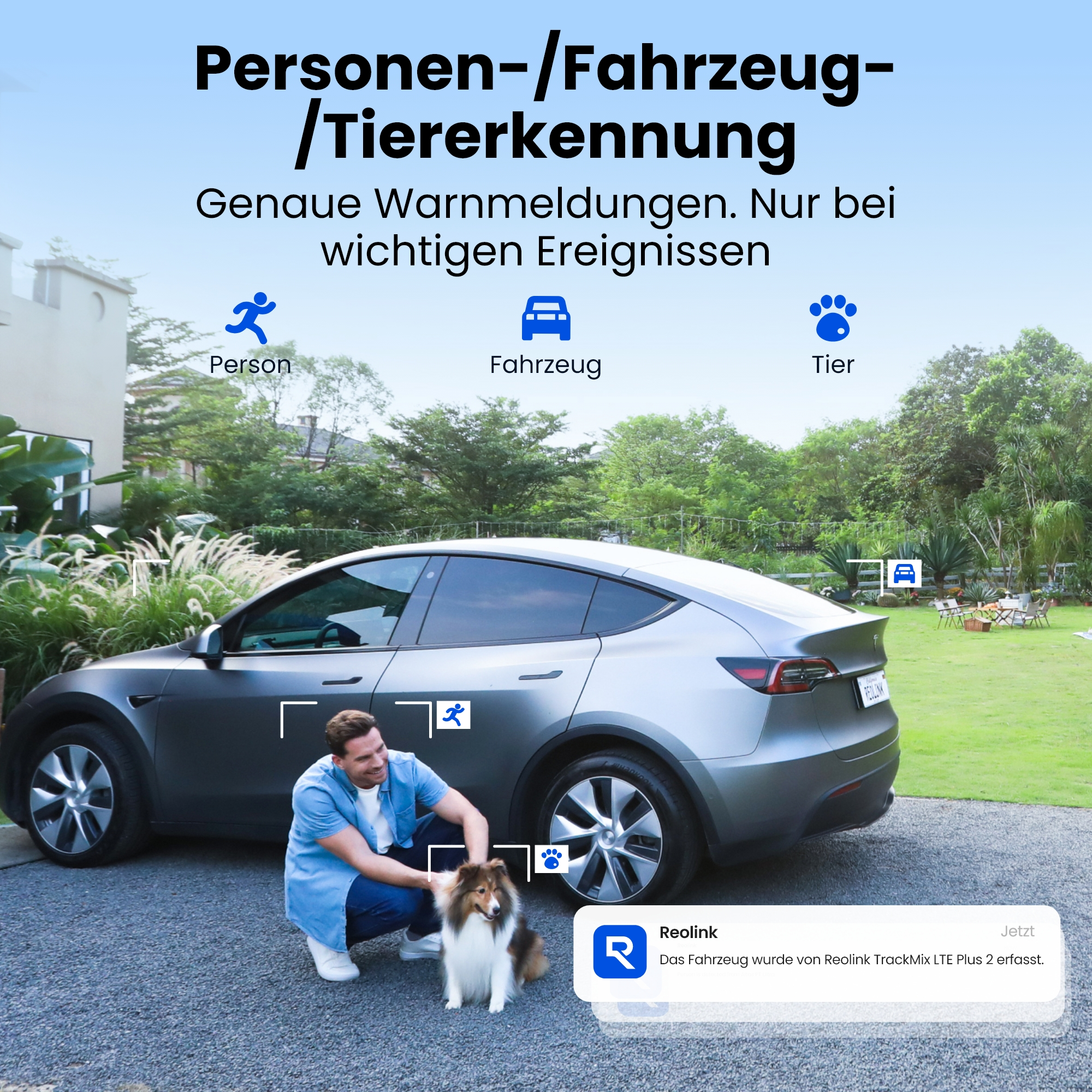 Mann kniet neben Tesla, Hund im Garten. Person, Fahrzeug, Tier-Erkennung.