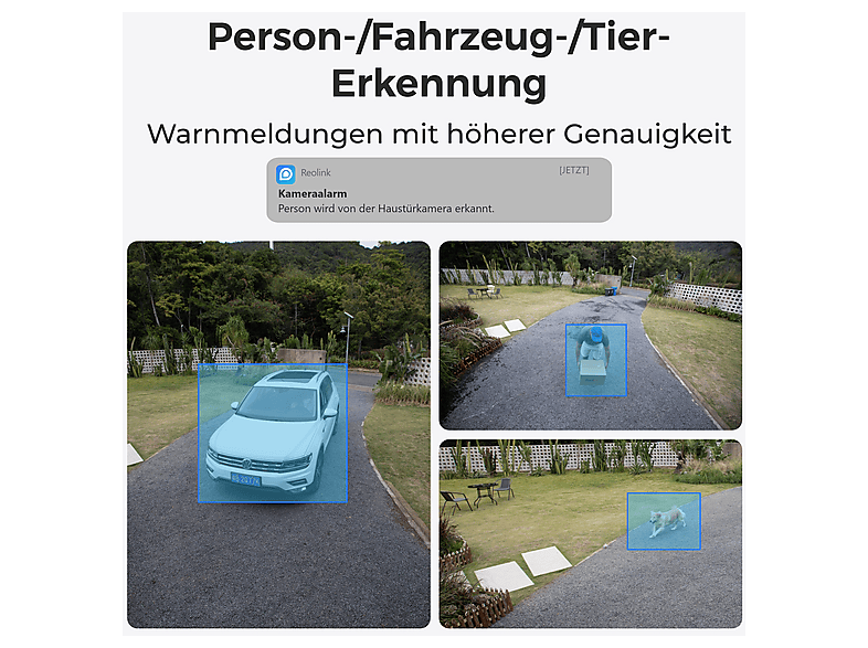Reolink 4K 360°, Auto-Tracking PoE-Kamera mit 5x optischem Zoom (für Innen + Außen, Nachtsichtfunktion, Netzbetrieb, UHD 4K, weiß) — Foto 5 von 5