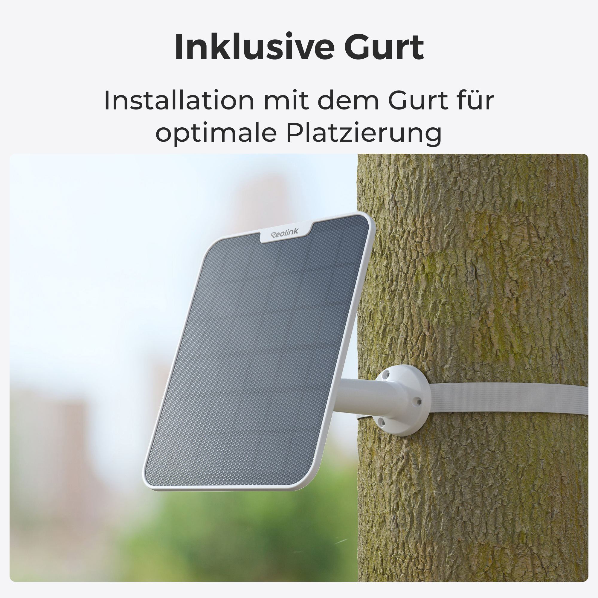 Eine graue Überwachungskamera ist mit einem weißen Gurt an einem Baum befestigt.