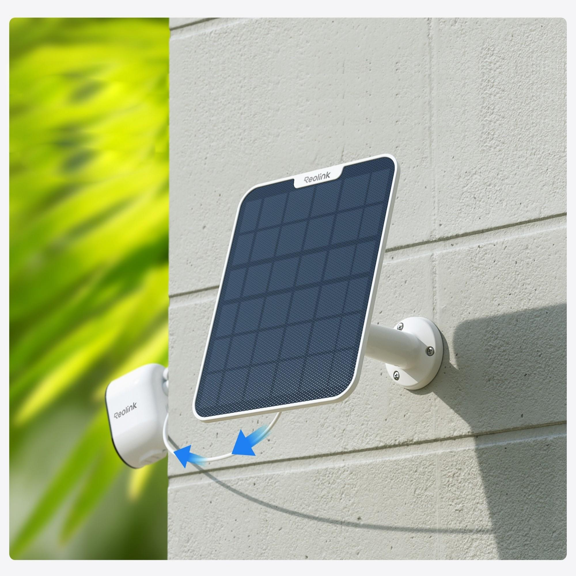Eine weiße Überwachungskamera mit Solarpanel an einer Wand, daneben grüne Blätter.