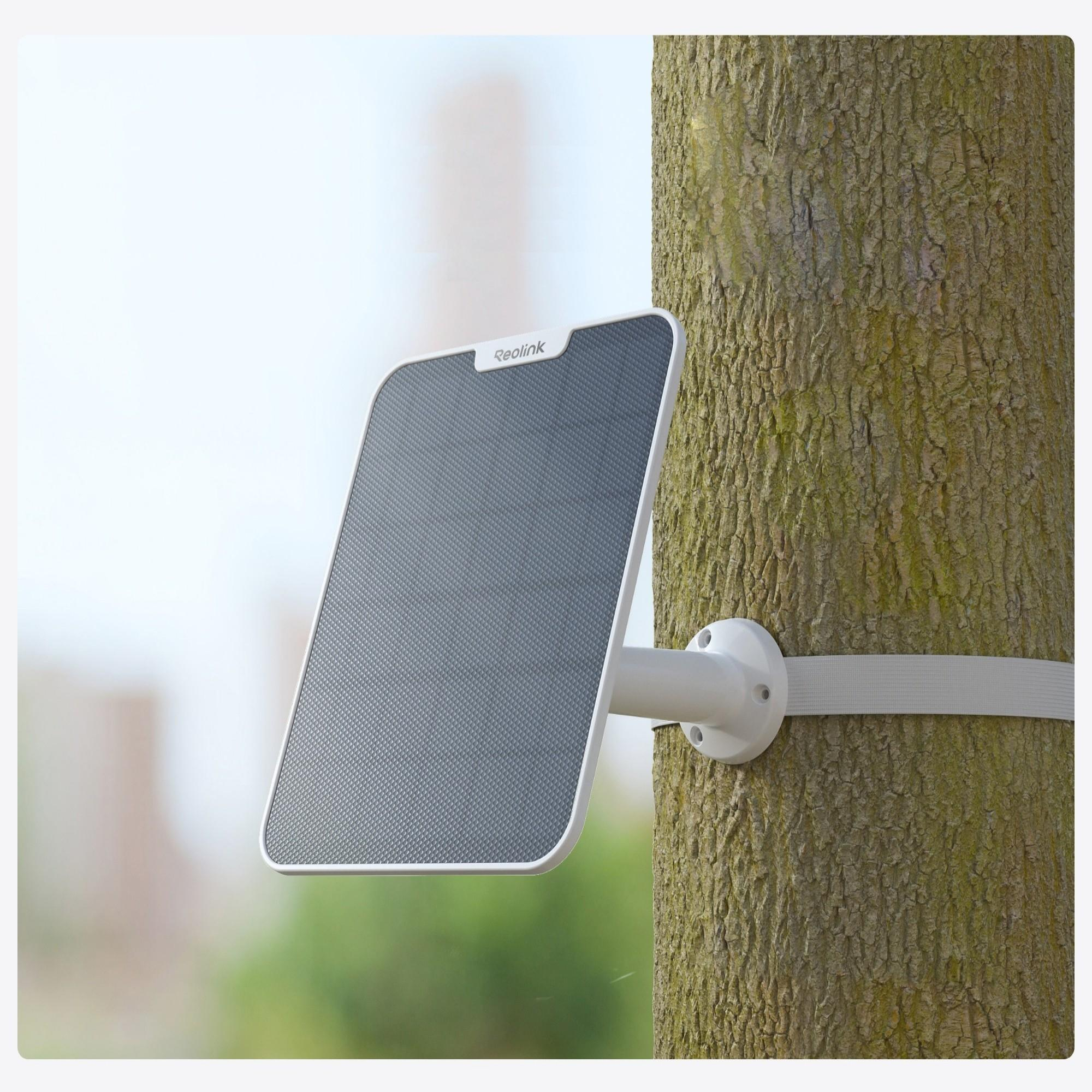 Ein graues Solarpanel ist mit einem weißen Gurt an einem Baum befestigt.