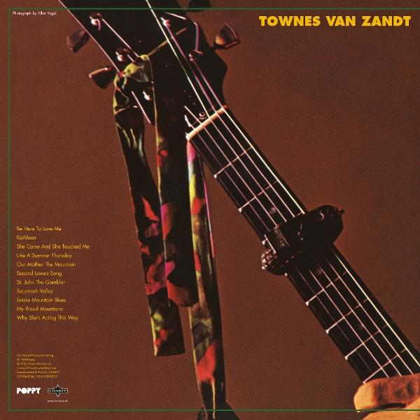 Eine Gitarre mit einem Band, das im Nacken hängt. "Townes Van Zandt" steht oben.
