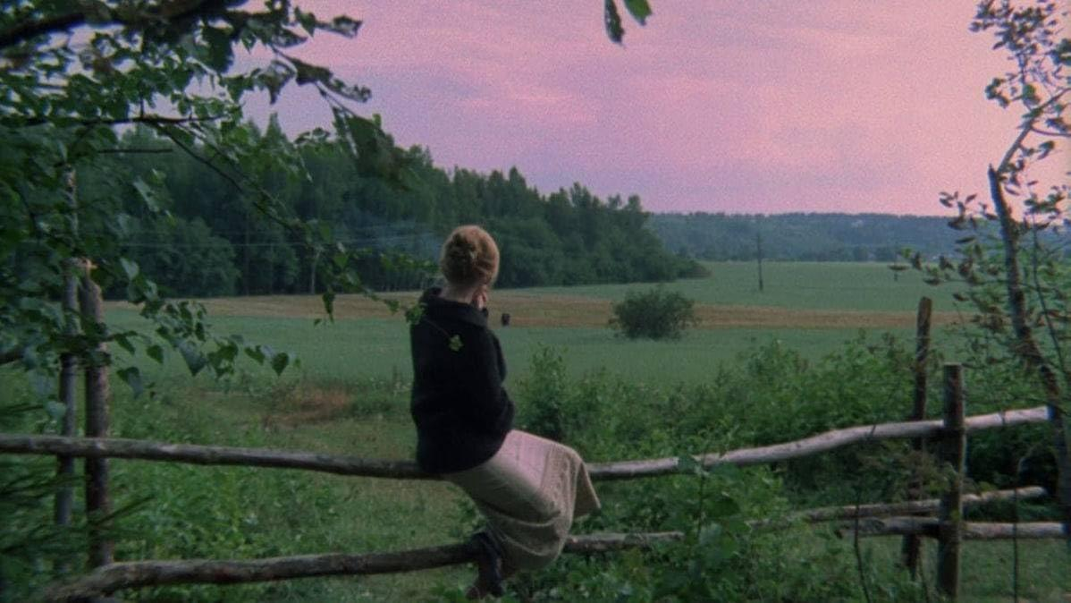 Frau sitzt auf einem Holzzaun mit Blick auf ein Feld unter einem pastellfarbenen Himmel.