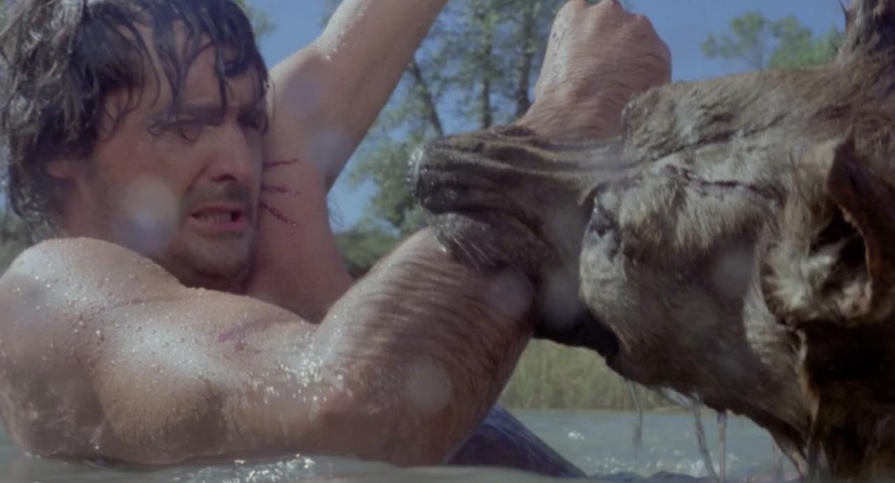 Mann kämpft mit einem Tier im Wasser, mit Bäumen im Hintergrund.