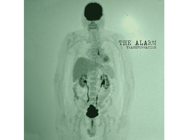 The Alarm - Transformation - (CD)