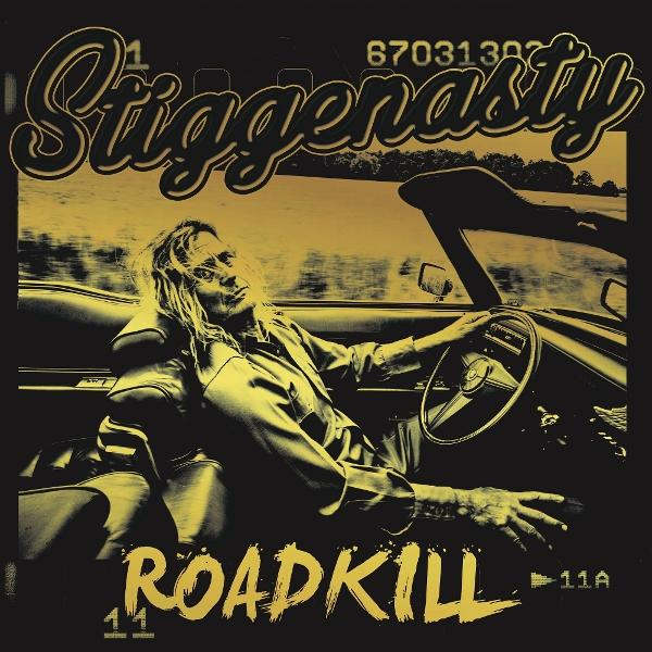 Mann mit langen Haaren fährt Cabrio. Gelbe Schrift "Stiggenasty" oben, "Roadkill" unten.