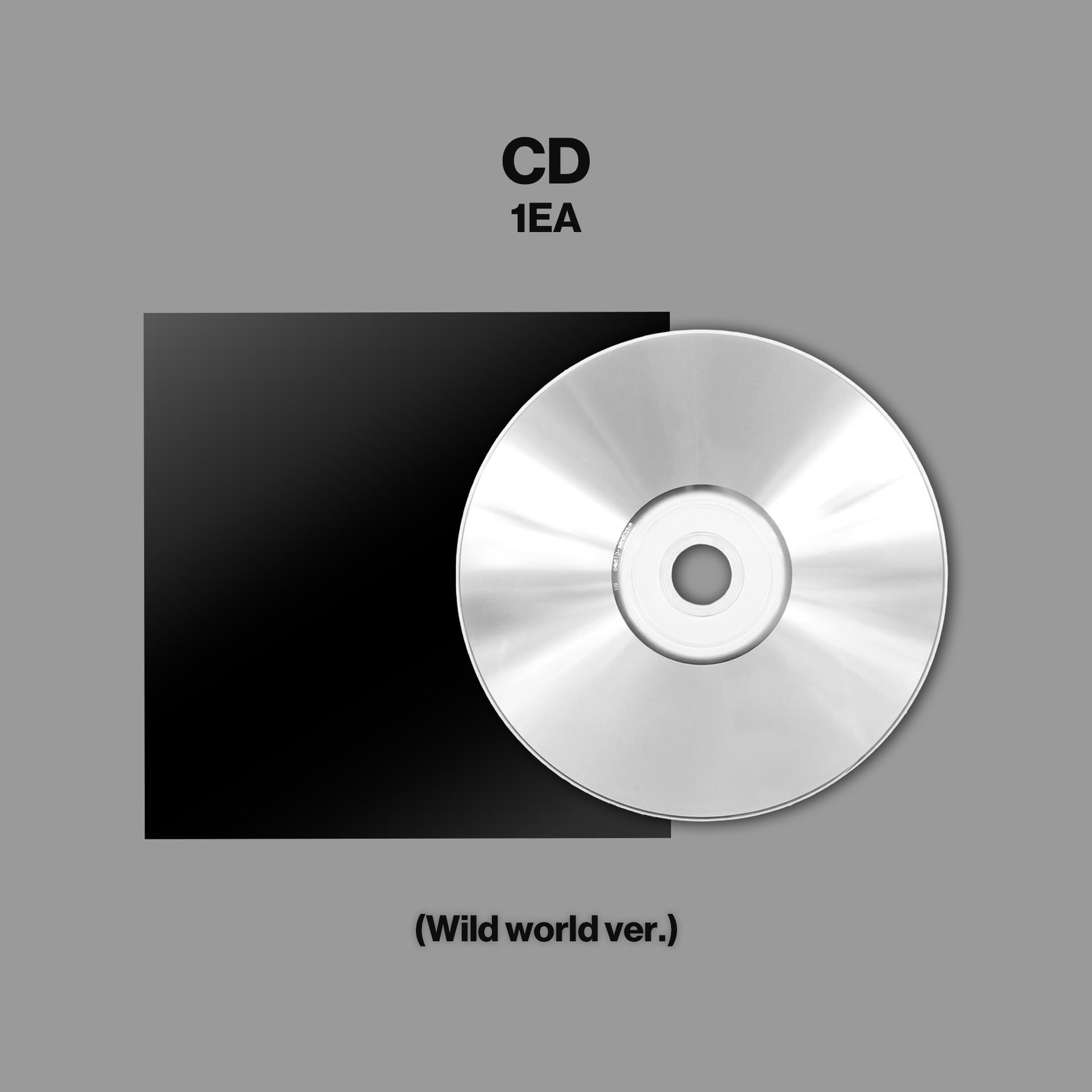 Eine silberne CD liegt auf einer schwarzen Hülle vor grauem Hintergrund.