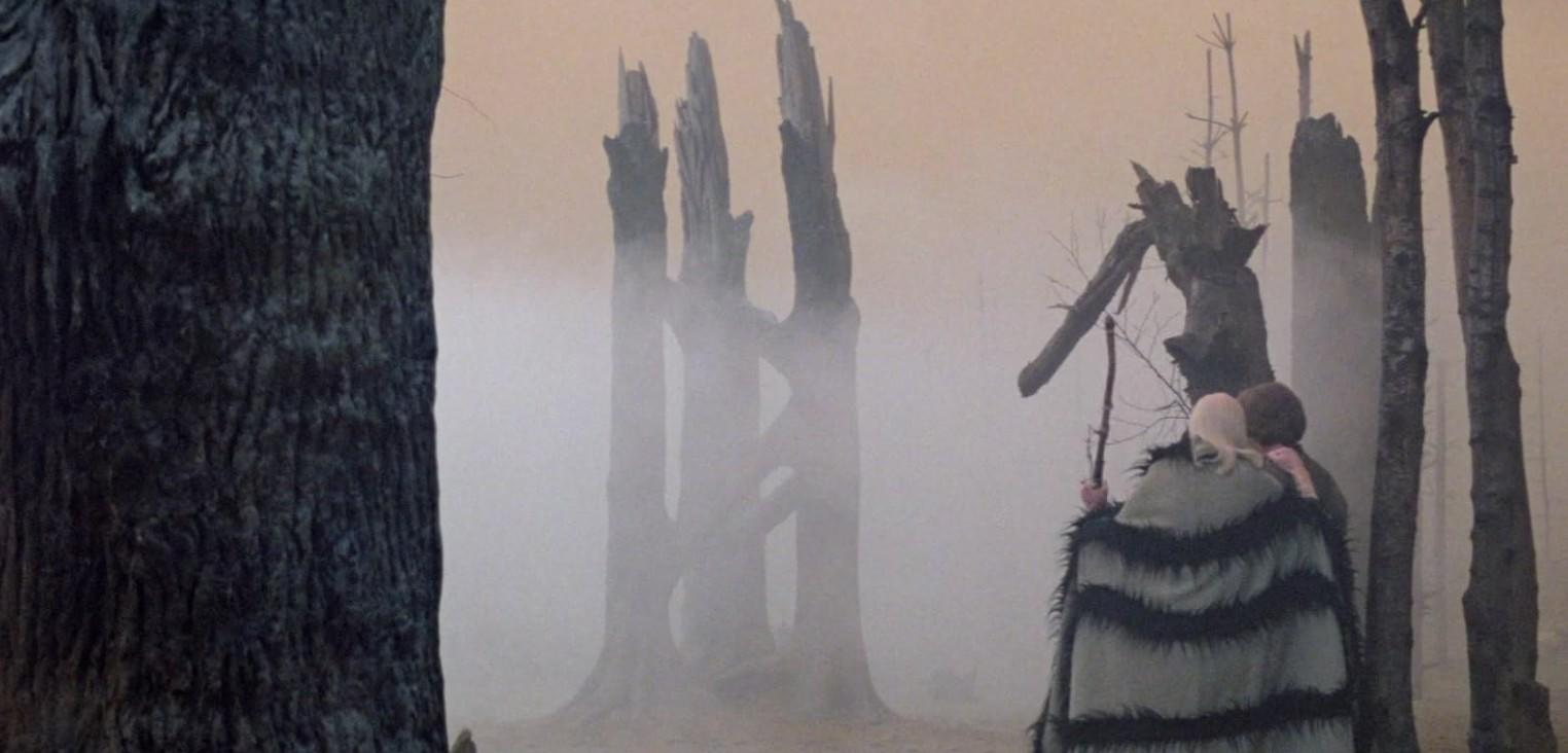 Zwei Figuren, eine mit Umhang, stehen in einem nebligen Wald mit toten Bäumen.