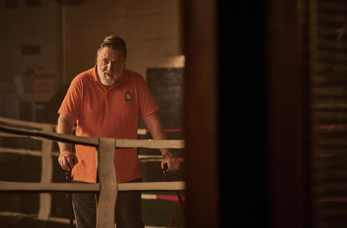 Ein Mann mit Bart in einem orangefarbenen Poloshirt steht in einem Boxring.