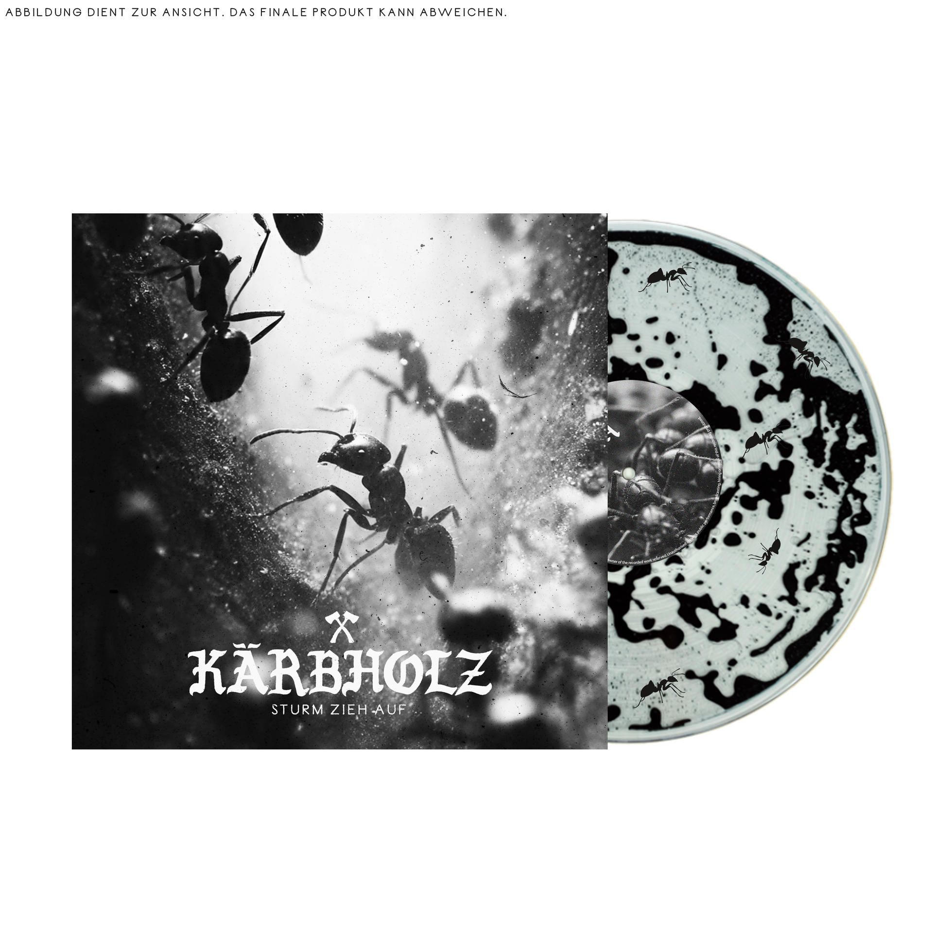 Schwarze Ameisen auf einem Vinyl mit weiß-schwarzem Muster. Text: Kärbolz.