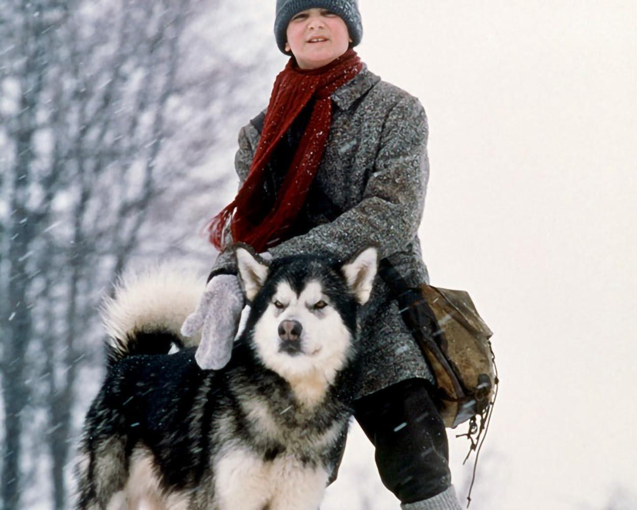 Ein Junge im grauen Mantel mit rotem Schal und einem Husky-Hund im Schnee.