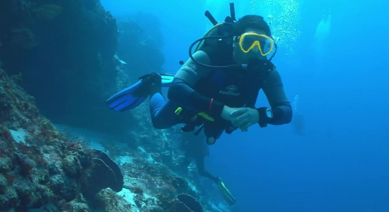 Ein Taucher mit gelber Maske schwimmt neben einem Riff im blauen Meer.