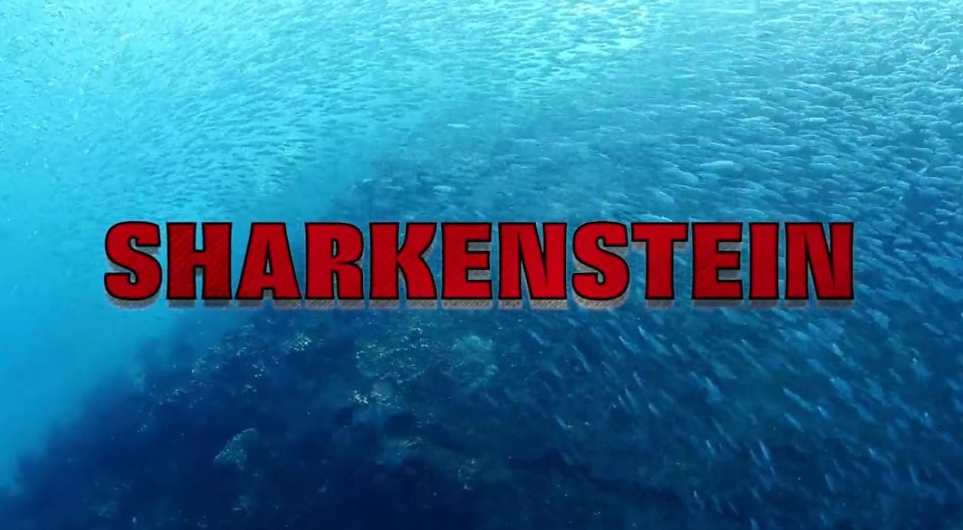 Der Titel SHARKENSTEIN steht vor einem Schwarm Fische im blauen Wasser.