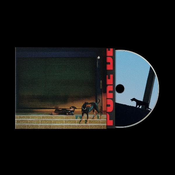 CD-Hülle mit zwei Hunden vor einer Garagentür und CD mit einem Hund auf einem Dach.