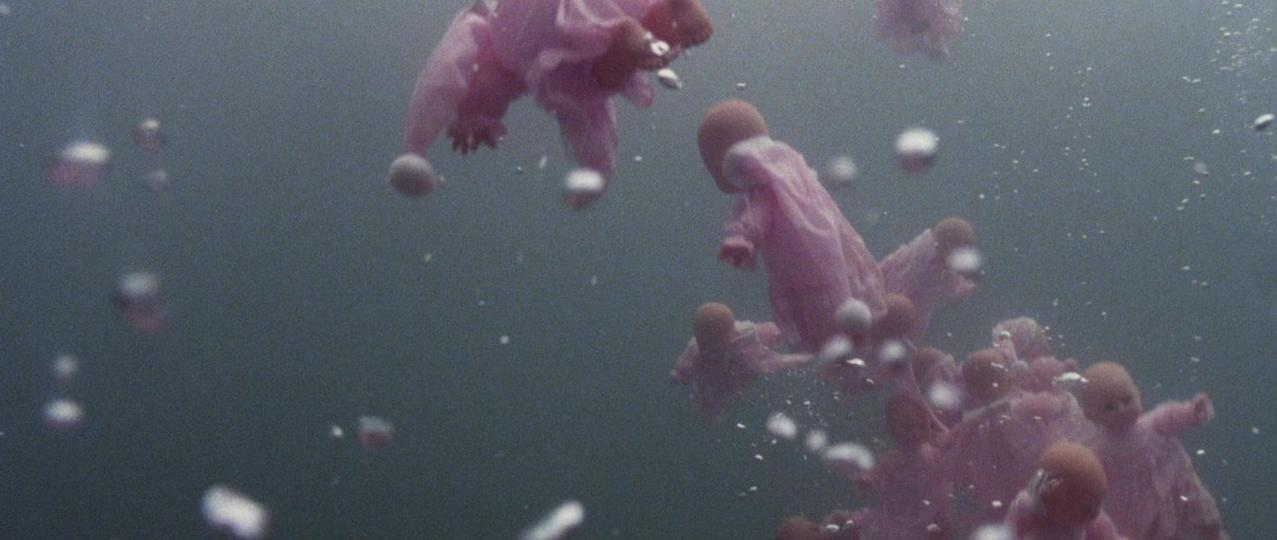 Mehrere rosafarbene Puppen treiben im trüben Wasser, umgeben von Luftblasen.