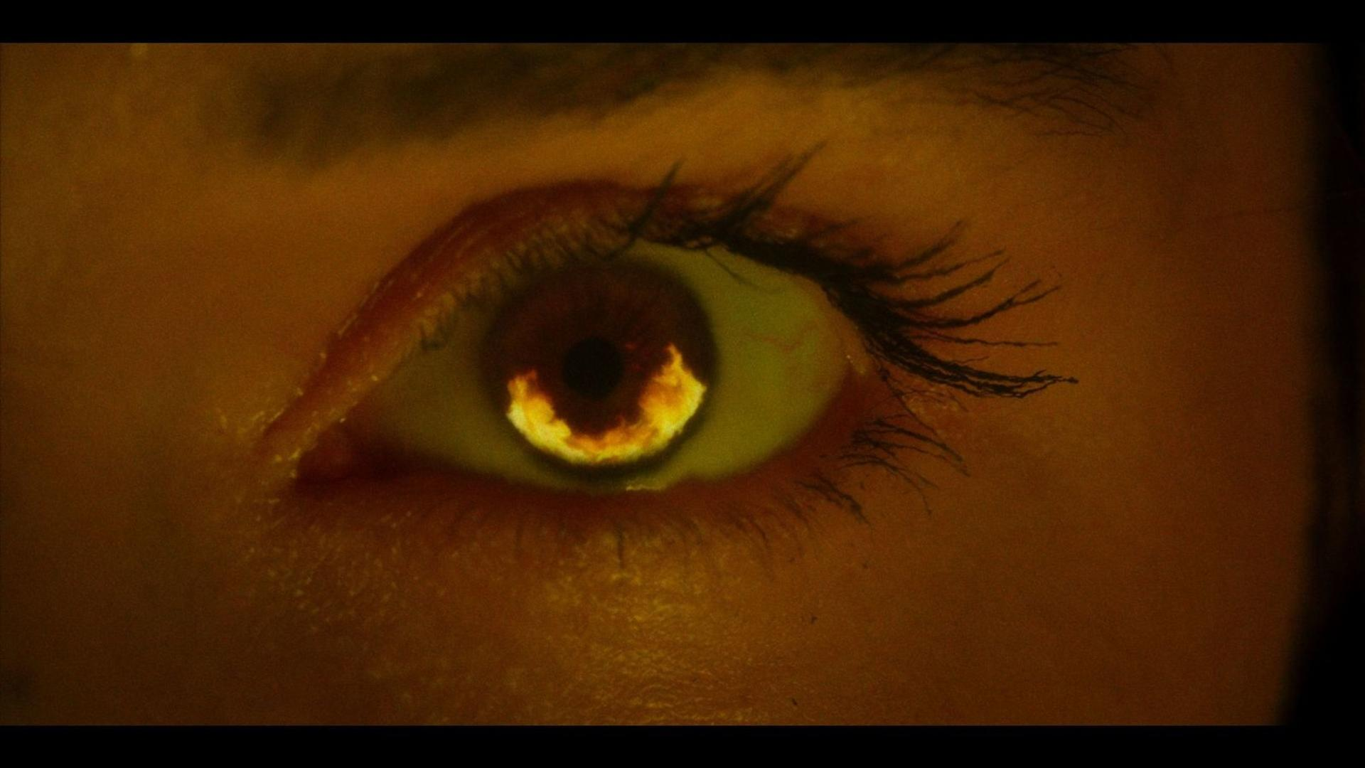 Nahaufnahme eines Auges mit leuchtend gelber Iris und dunkler Pupille.