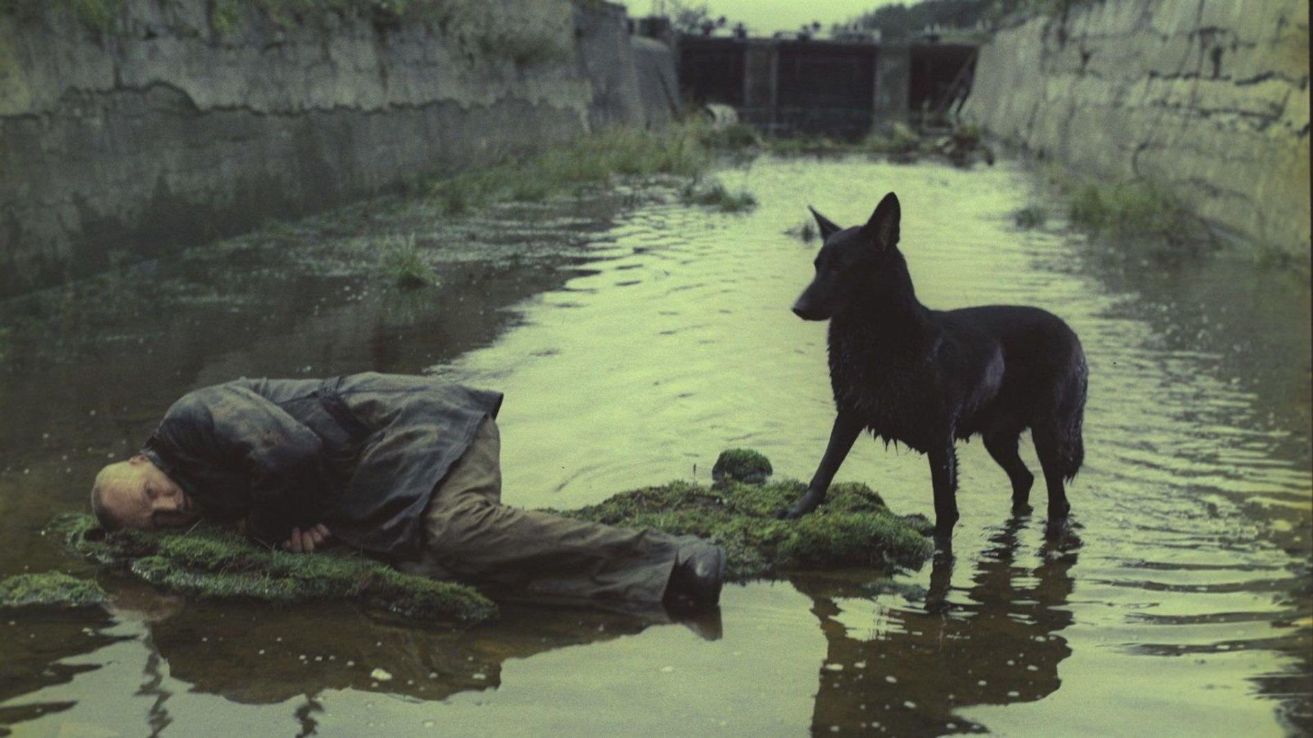 Ein Mann liegt im Wasser auf Moos, ein schwarzer Hund steht daneben.