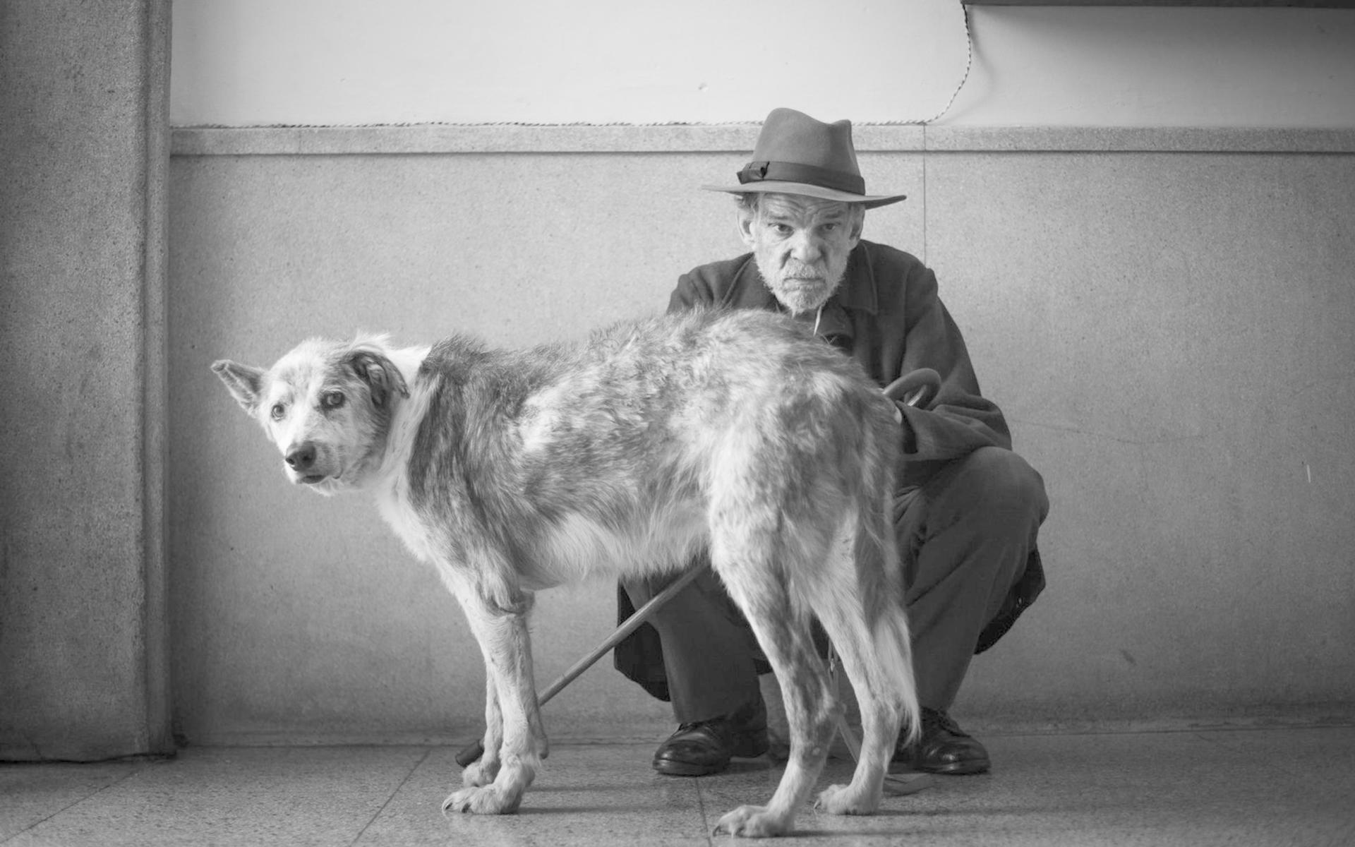 Ein Mann mit Hut kniet hinter einem Hund. Schwarz-Weiß-Foto.