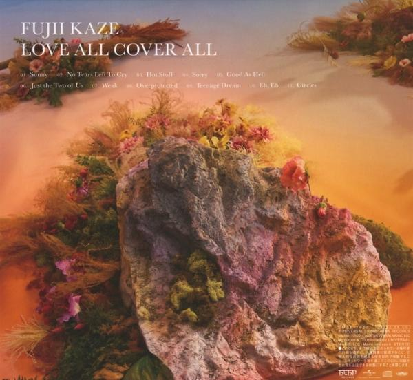 Albumcover: FUJII KAZE LOVE ALL COVER ALL. Fels mit Blumen und Gräsern.