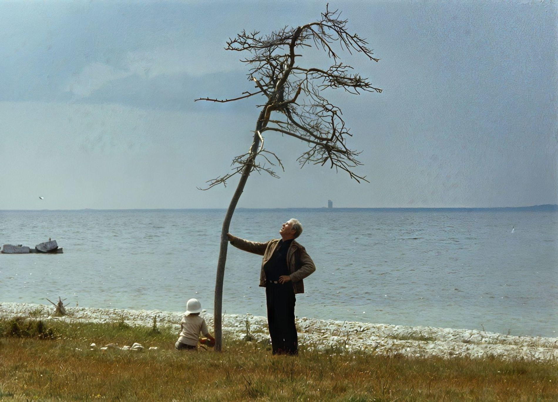 Mann und Kind am Strand unter einem Baum vor dem Meer.