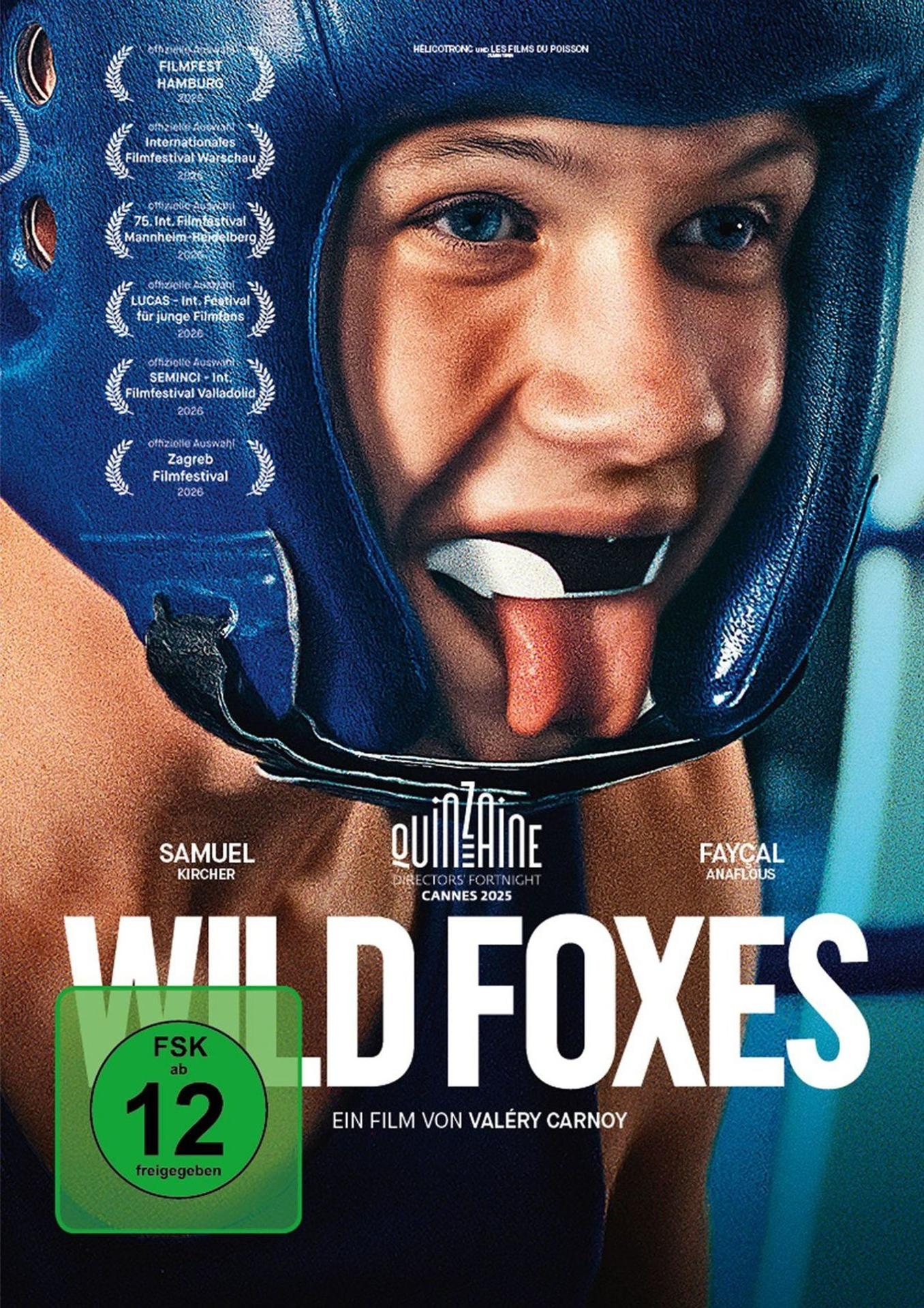 Ein junger Boxer mit blauem Helm leckt seine Lippe. Titel: WILD FOXES.