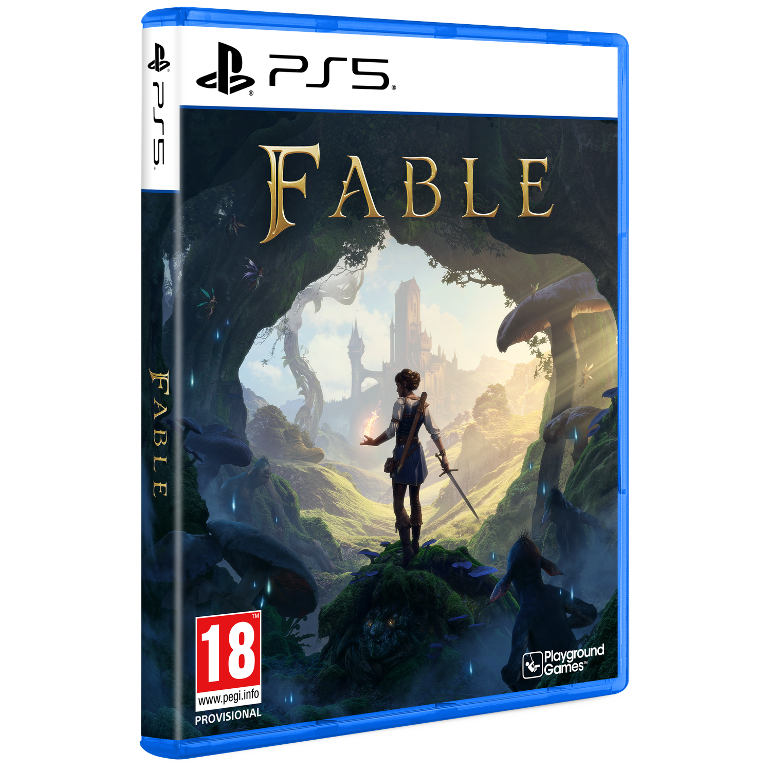 PS5 spelcover: Vrouw met zwaard in magische wereld, kasteel achtergrond.