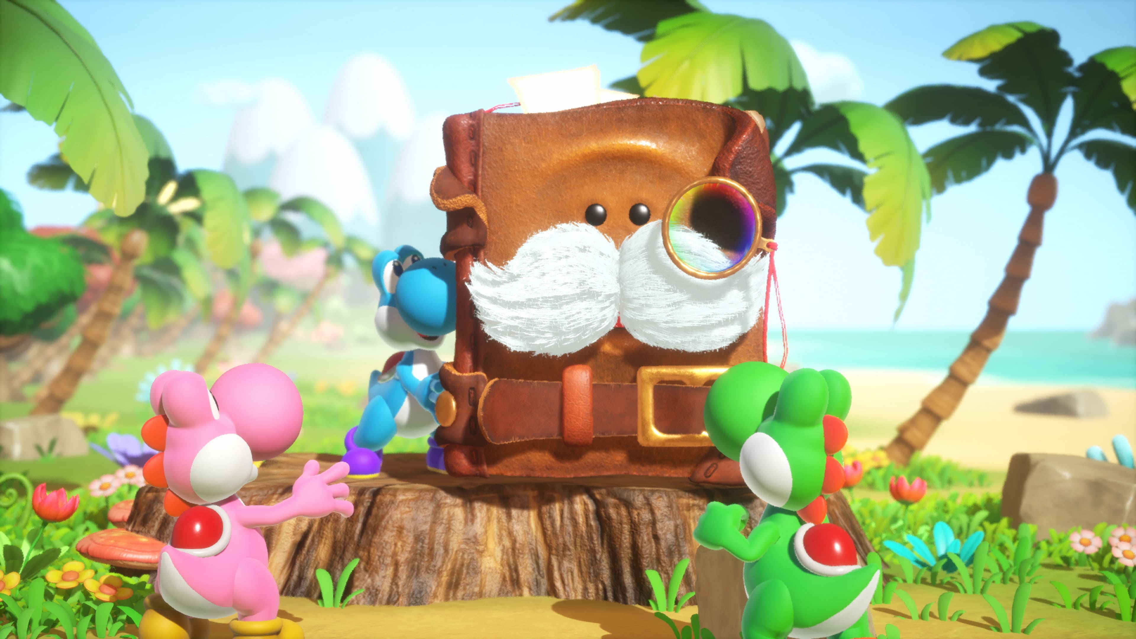 NINTENDO Yoshi and The Mysterious Book Switch 2 Oyun Fiyat