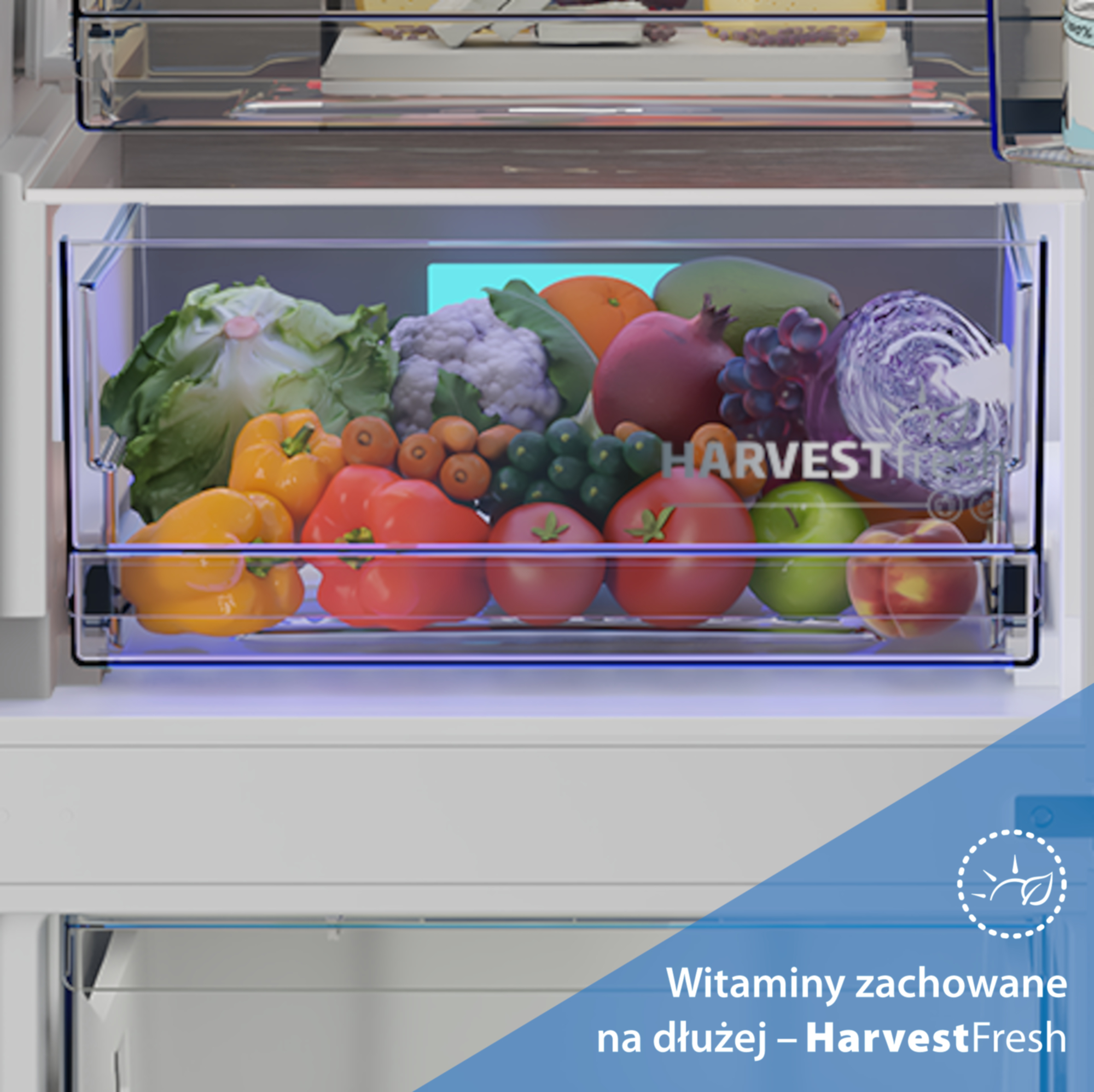 Szuflada lodówki ze świeżymi owocami i warzywami: papryka, pomidory, sałata, winogrona.