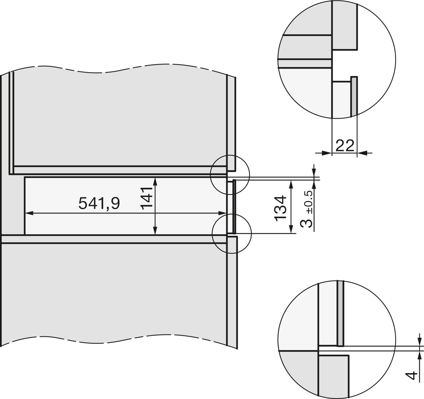 Technische Zeichnung mit Maßen: 541,9 x 141 und 22, 134, 3±0,5, 4.