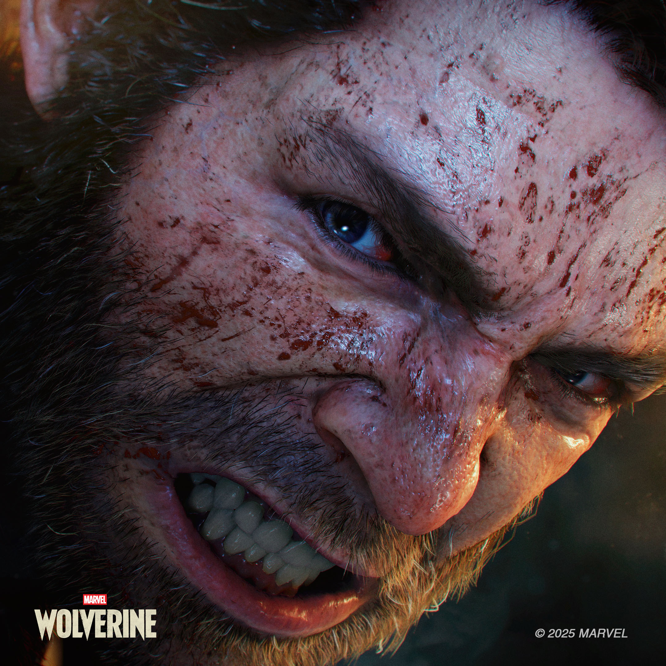 Zbliżenie niebieskich oczu Wolverine'a i wściekłej, posiniaczonej twarzy.