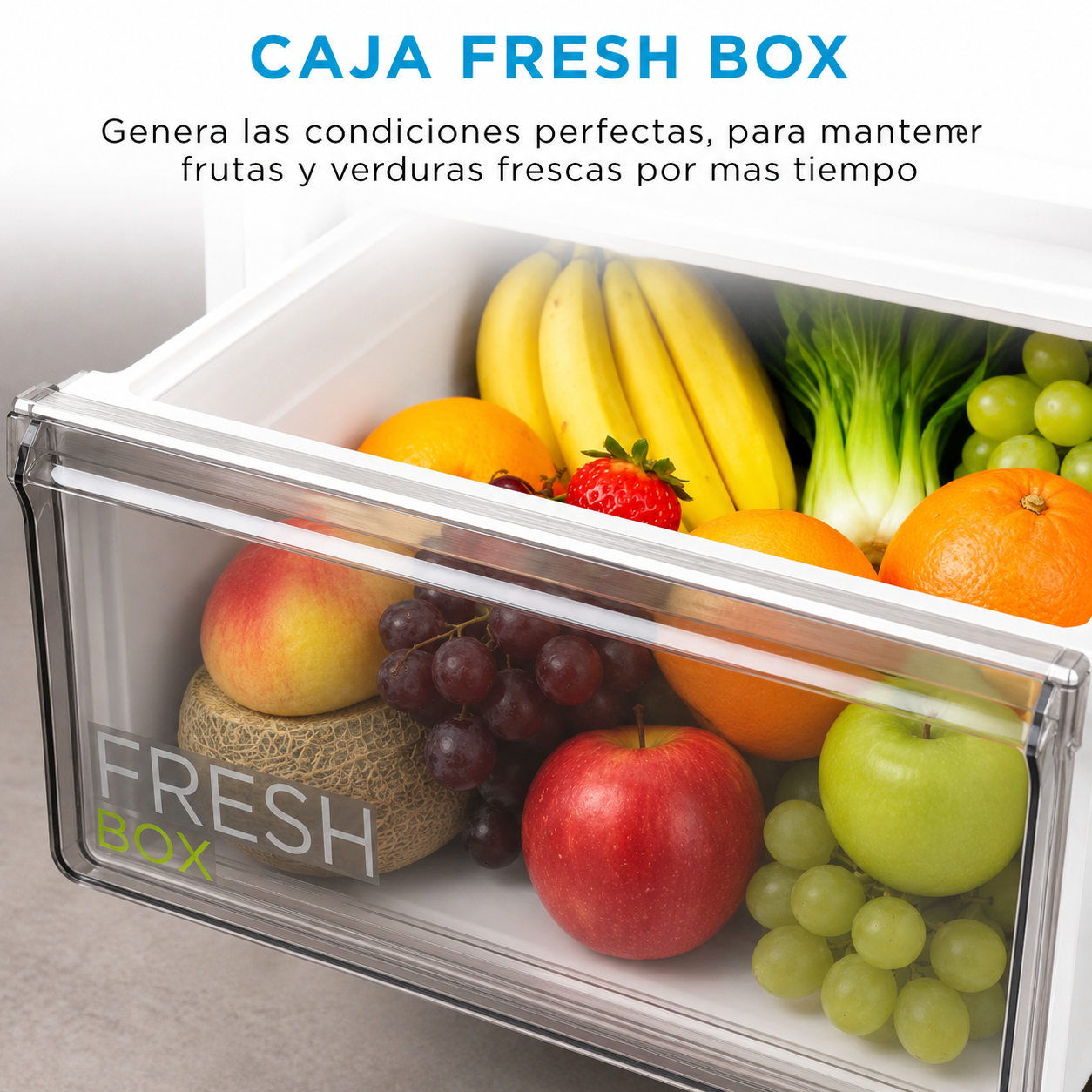 Un cajón lleno de frutas y verduras frescas: manzanas, uvas, plátanos y naranjas.