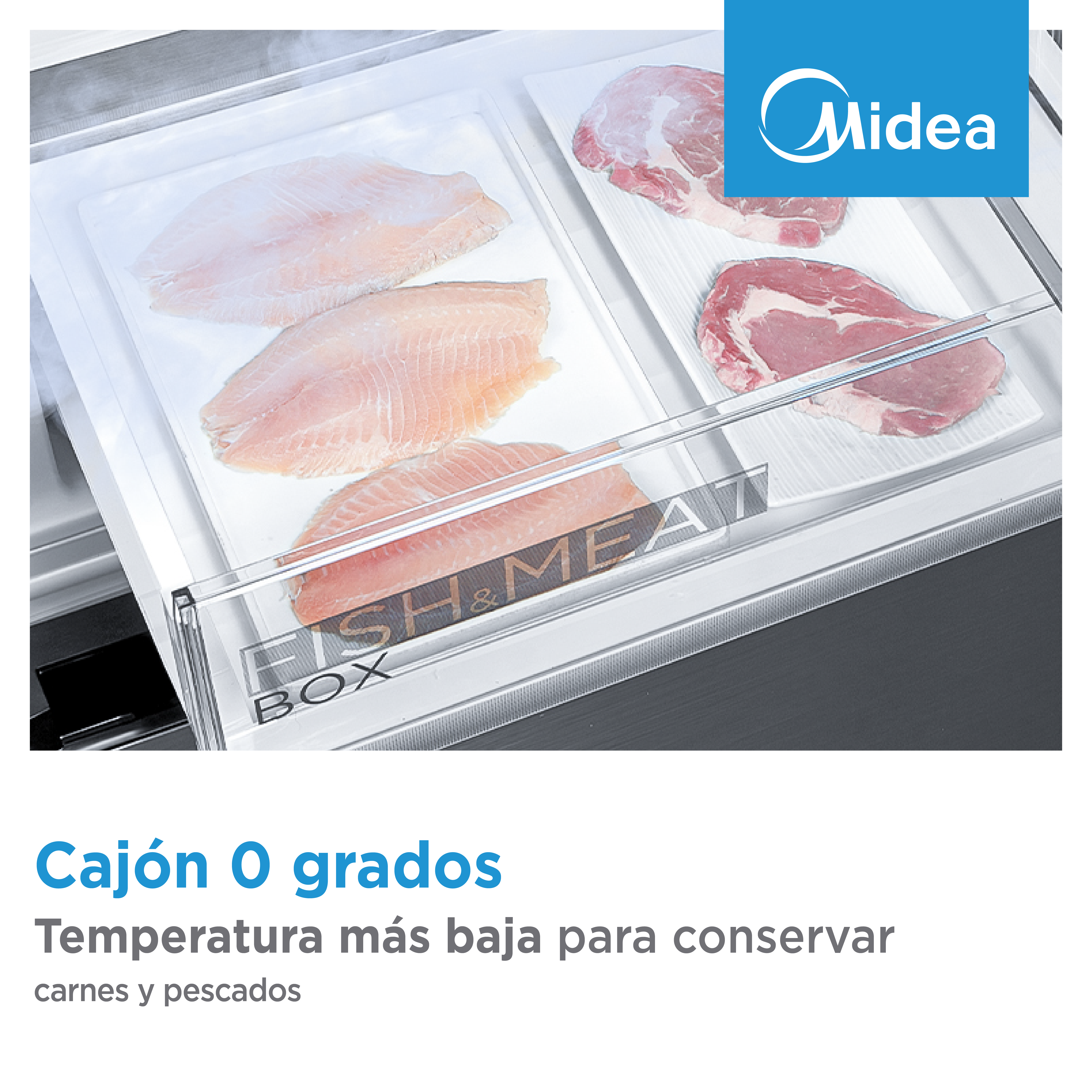Cajón de frigorífico Midea con pescado y carne, gris oscuro.