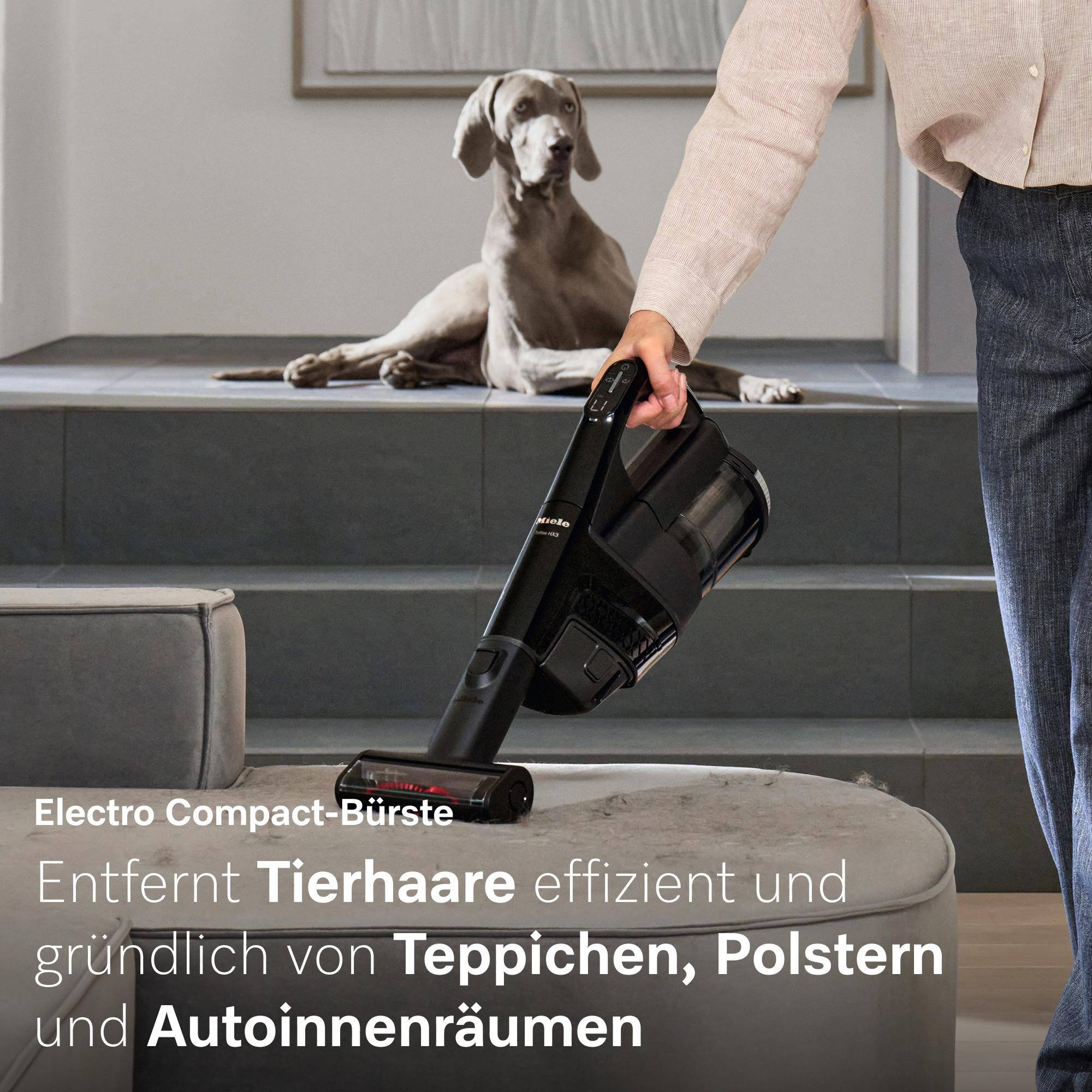 Eine Person hält einen schwarzen Staubsauger, ein Hund liegt auf einer Treppe.
