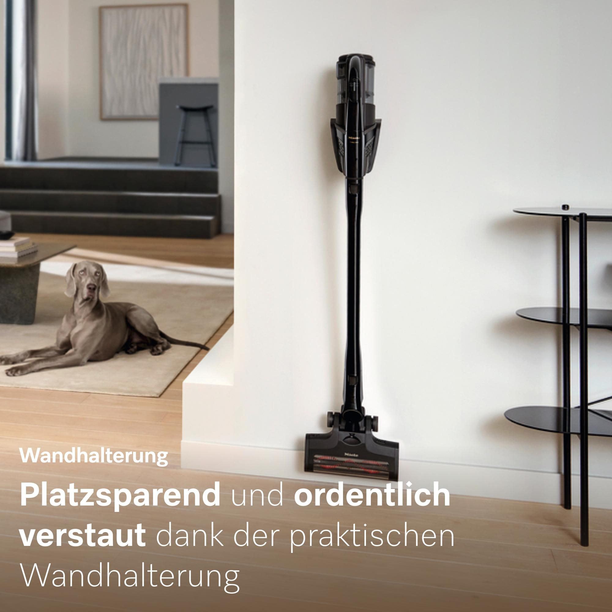 Ein schwarzer Staubsauger hängt an einer weißen Wand. Ein Hund liegt auf einem Teppich.