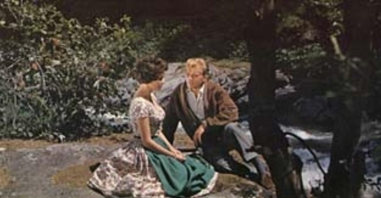Ein Mann und eine Frau sitzen im Freien auf Steinen unter Bäumen.