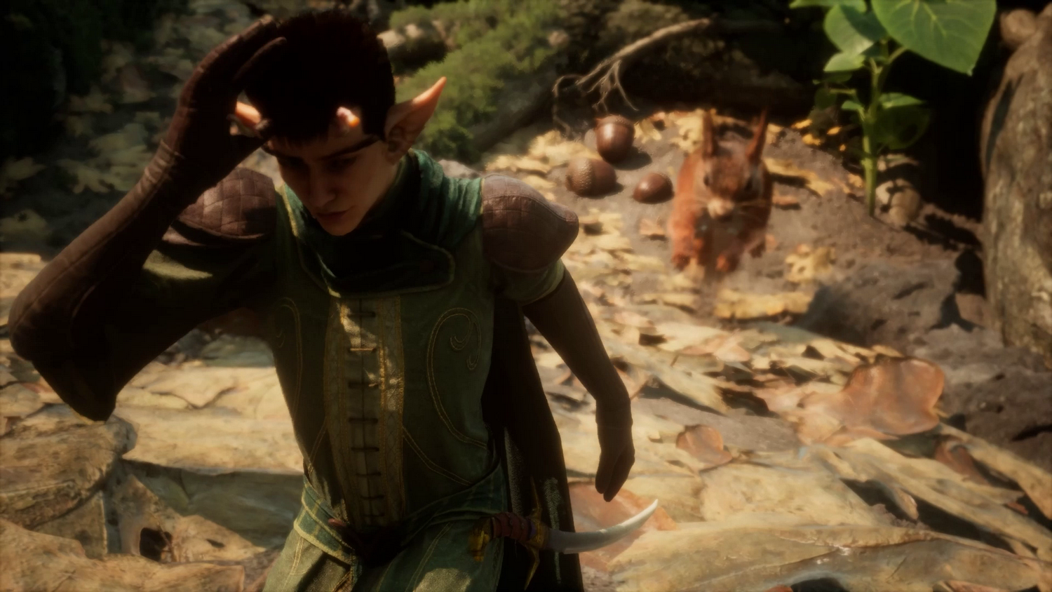 Un elfo con orejas puntiagudas y guantes marrones en un bosque, bellota y ardilla al fondo.